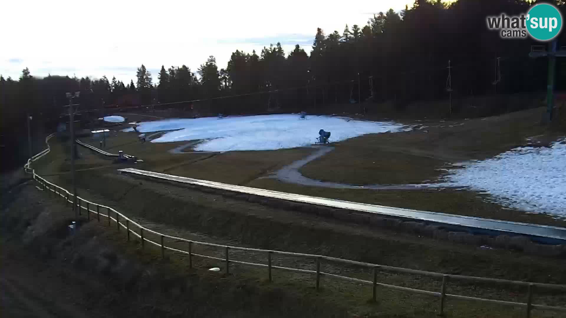 V živo Mariborsko Pohorje – Bellevue