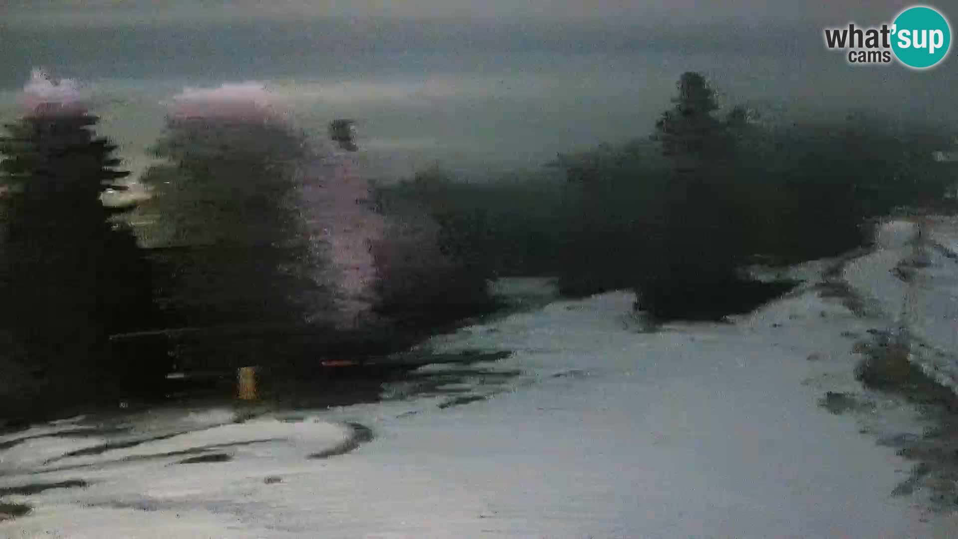 U živo Mariborsko Pohorje – Bellevue