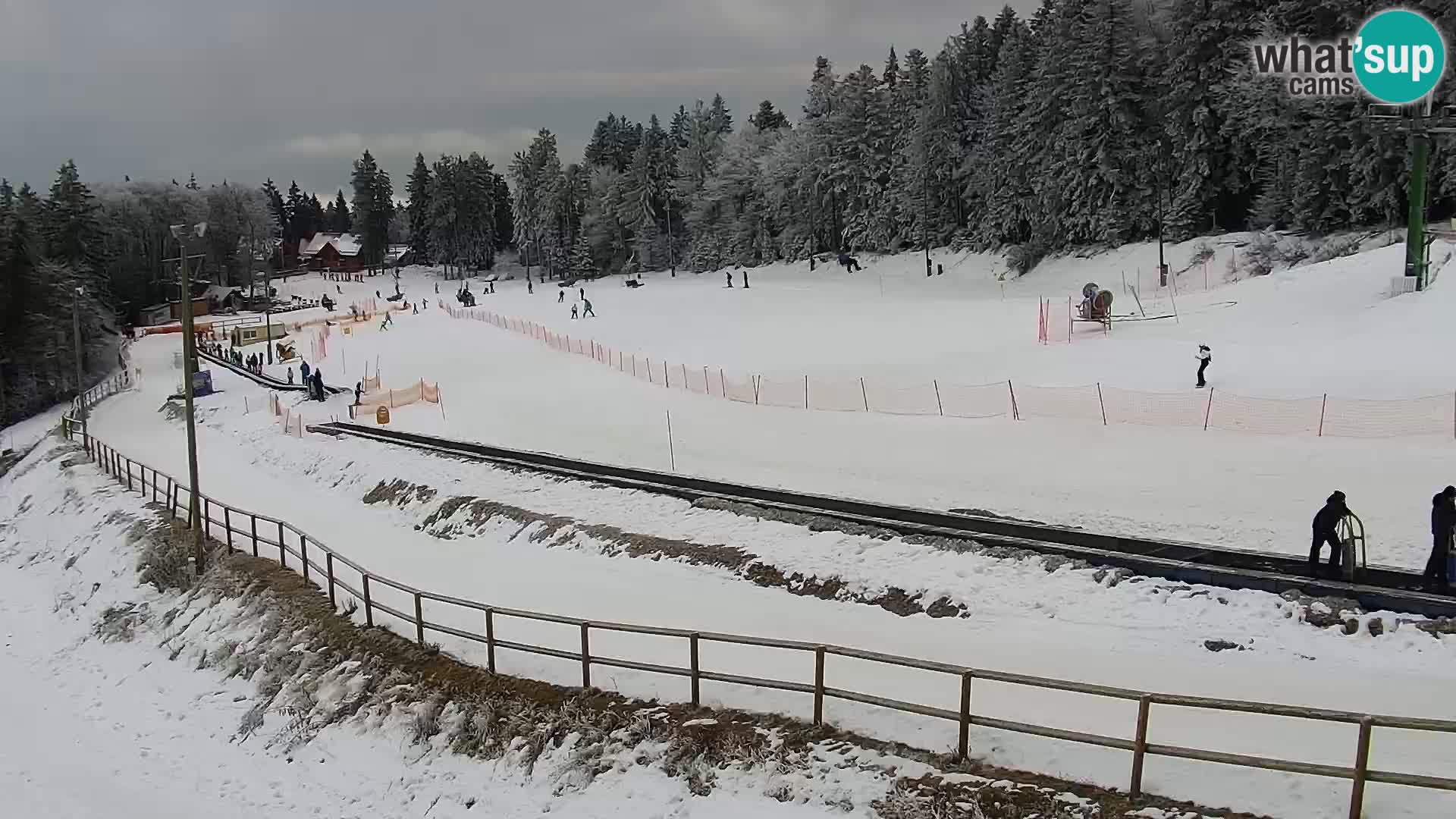 Skigebiet Maribor Pohorje Bellevue