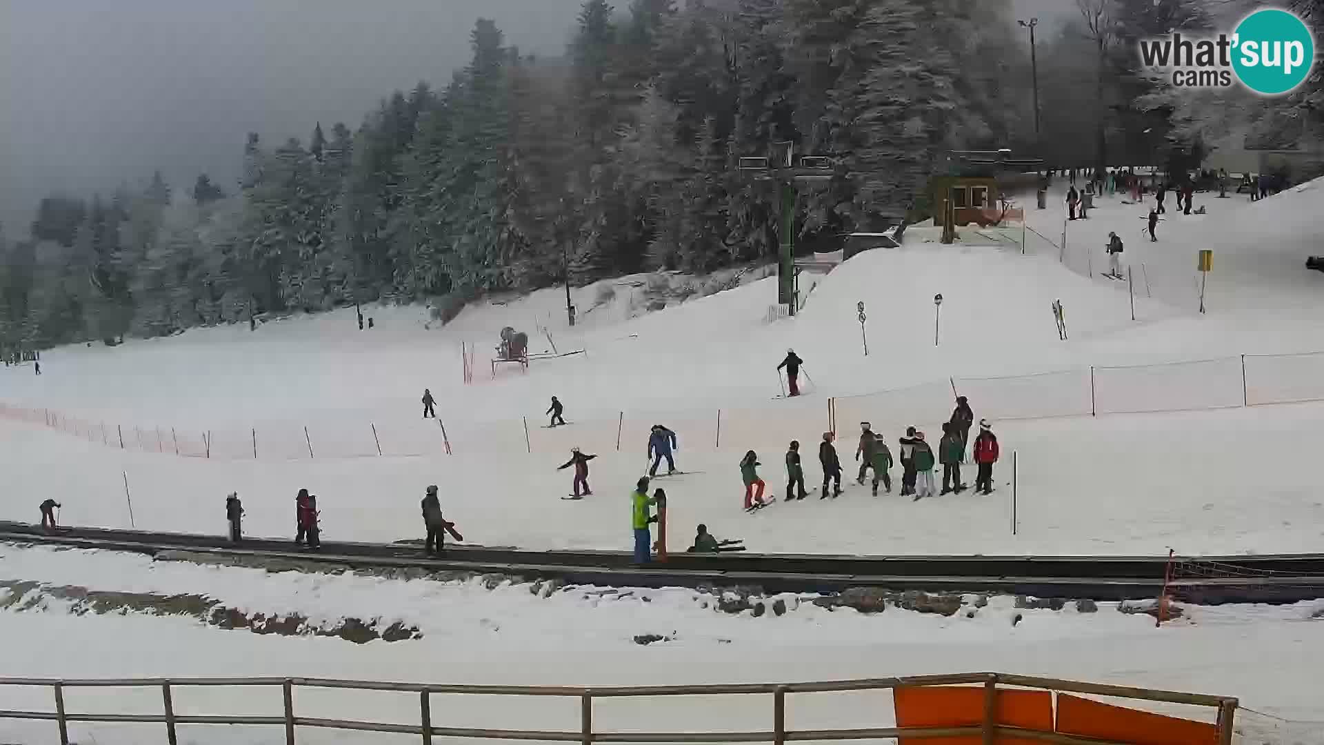 Livecam Maribor Pohorje – Bellevue