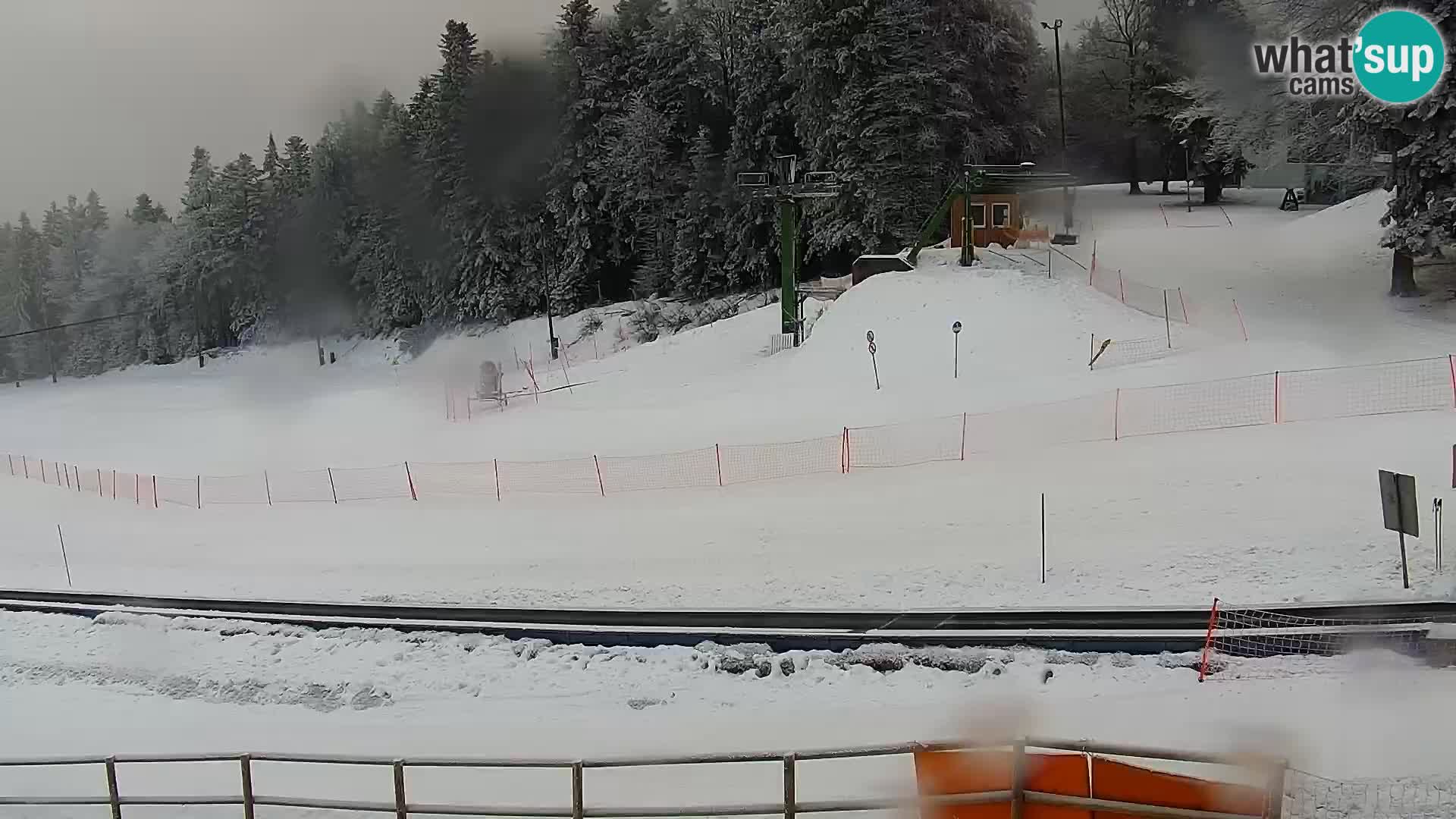 V živo Mariborsko Pohorje – Bellevue