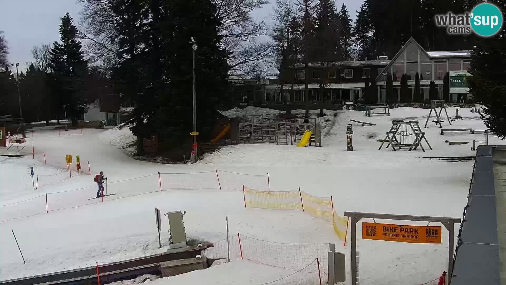 U živo Mariborsko Pohorje – Bellevue