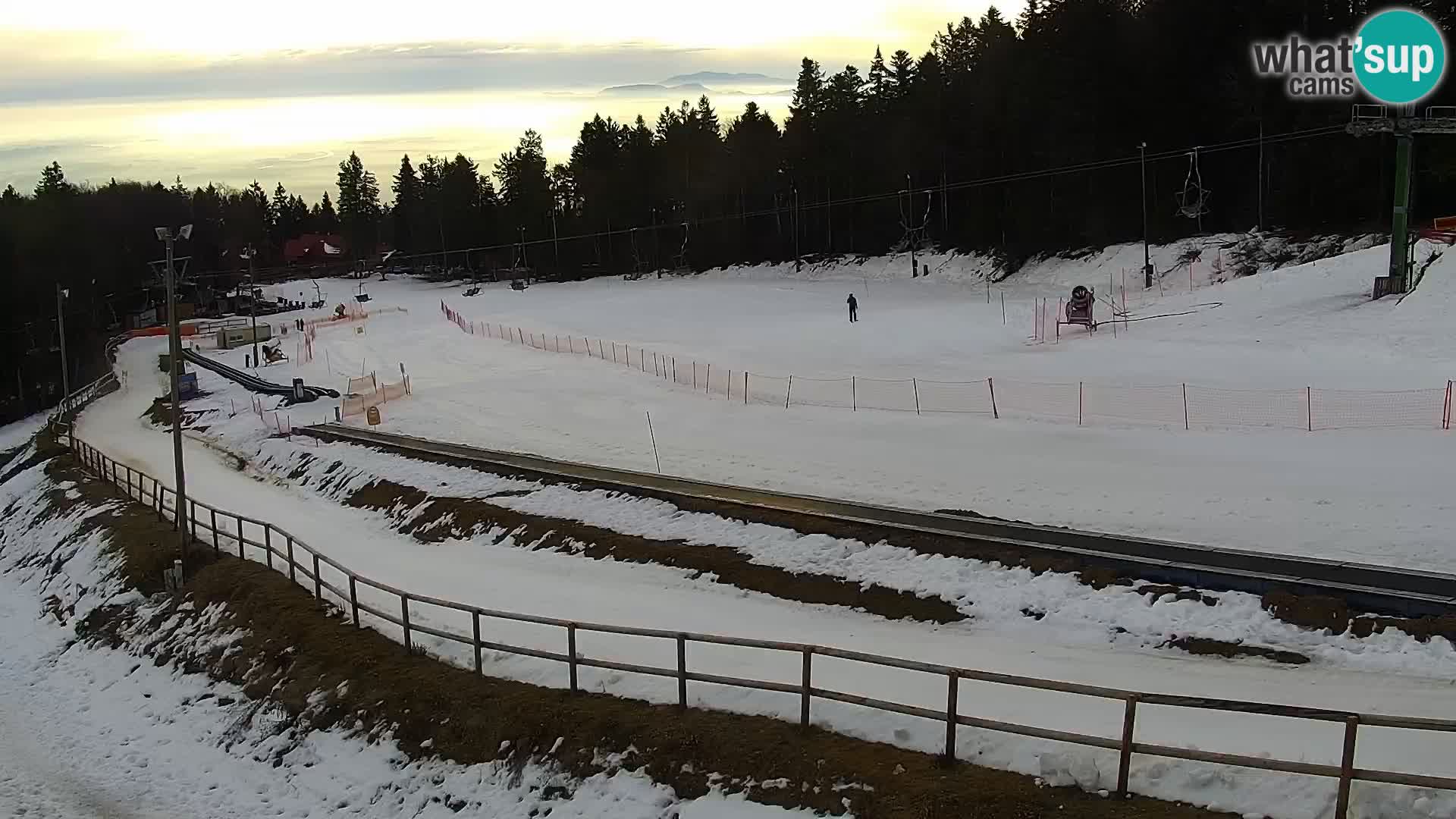 V živo Mariborsko Pohorje – Bellevue