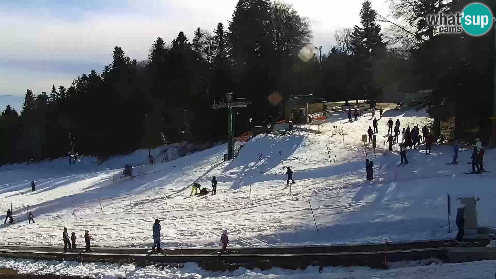 U živo Mariborsko Pohorje – Bellevue