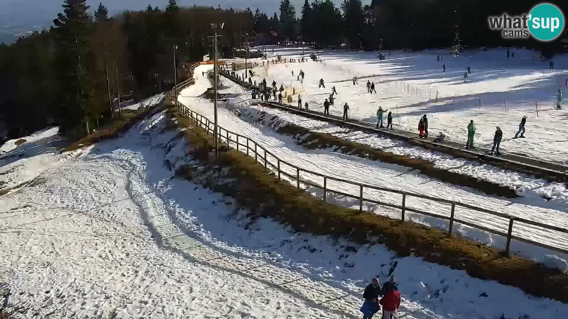 Estacion esqui  en vivo Maribor Pohorje – Bellevue