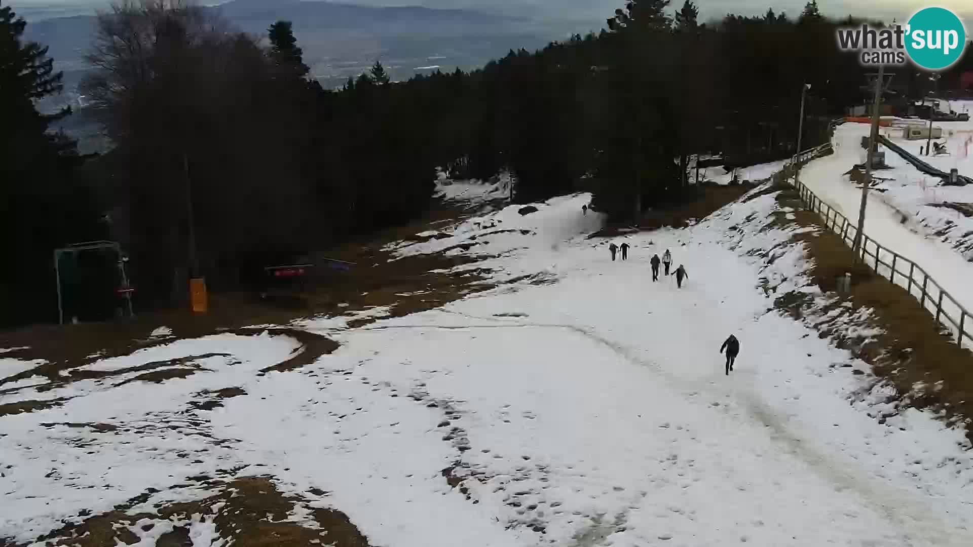 V živo Mariborsko Pohorje – Bellevue