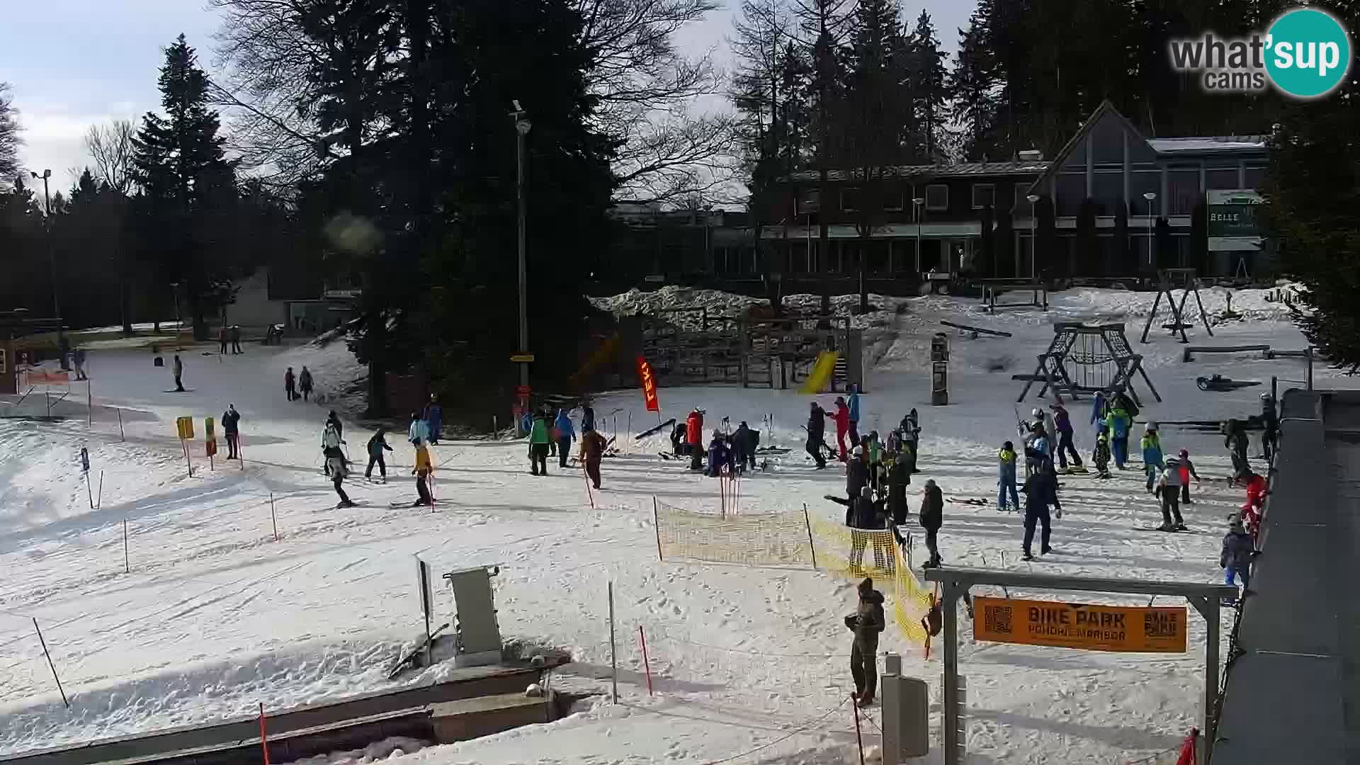 V živo Mariborsko Pohorje – Bellevue