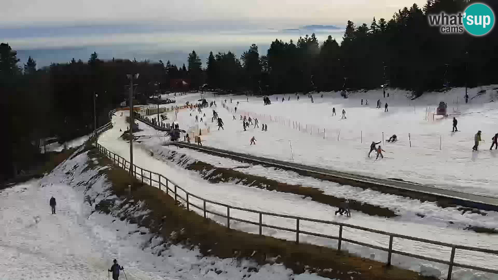 U živo Mariborsko Pohorje – Bellevue