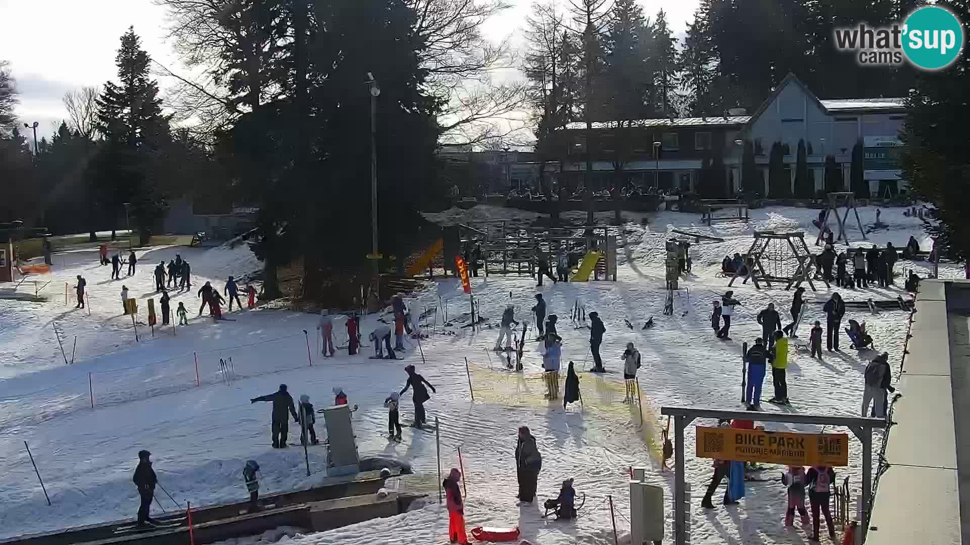 Livecam Maribor Pohorje – Bellevue