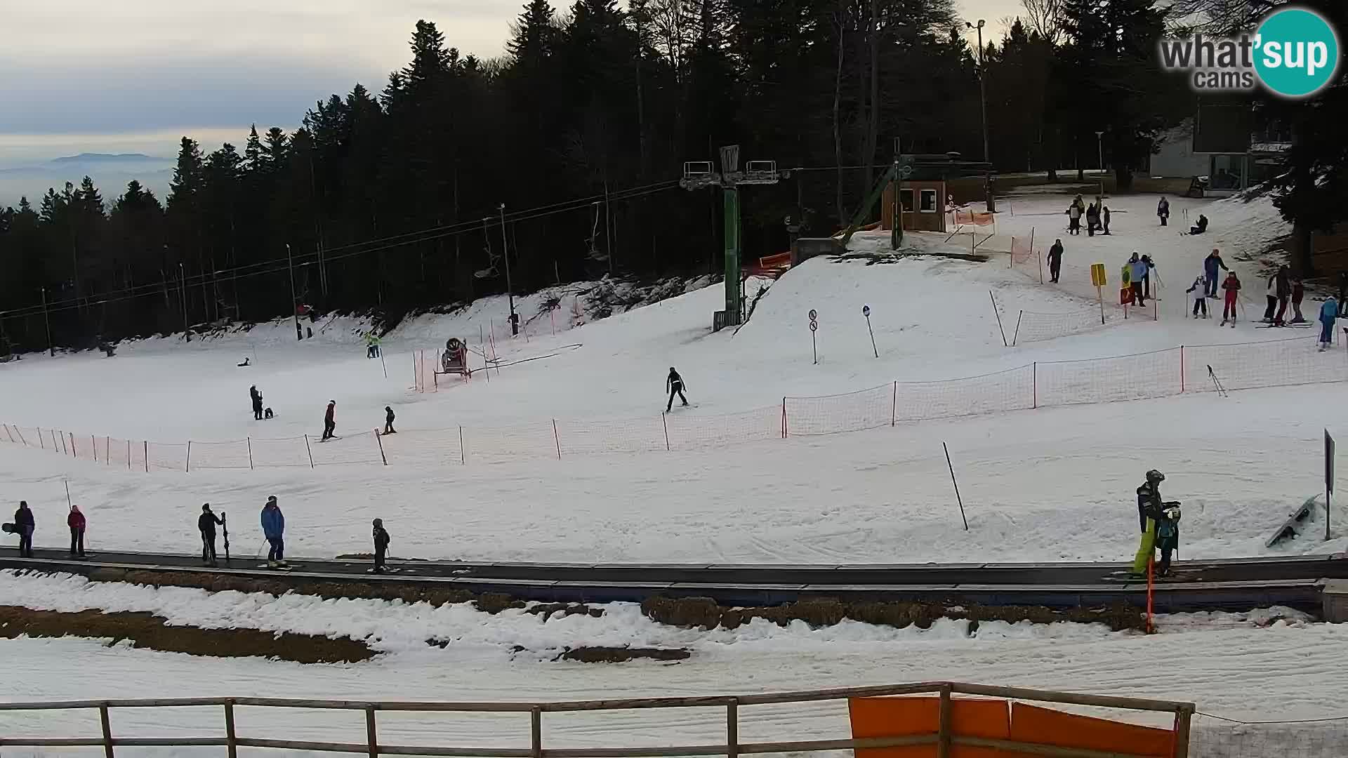 U živo Mariborsko Pohorje – Bellevue