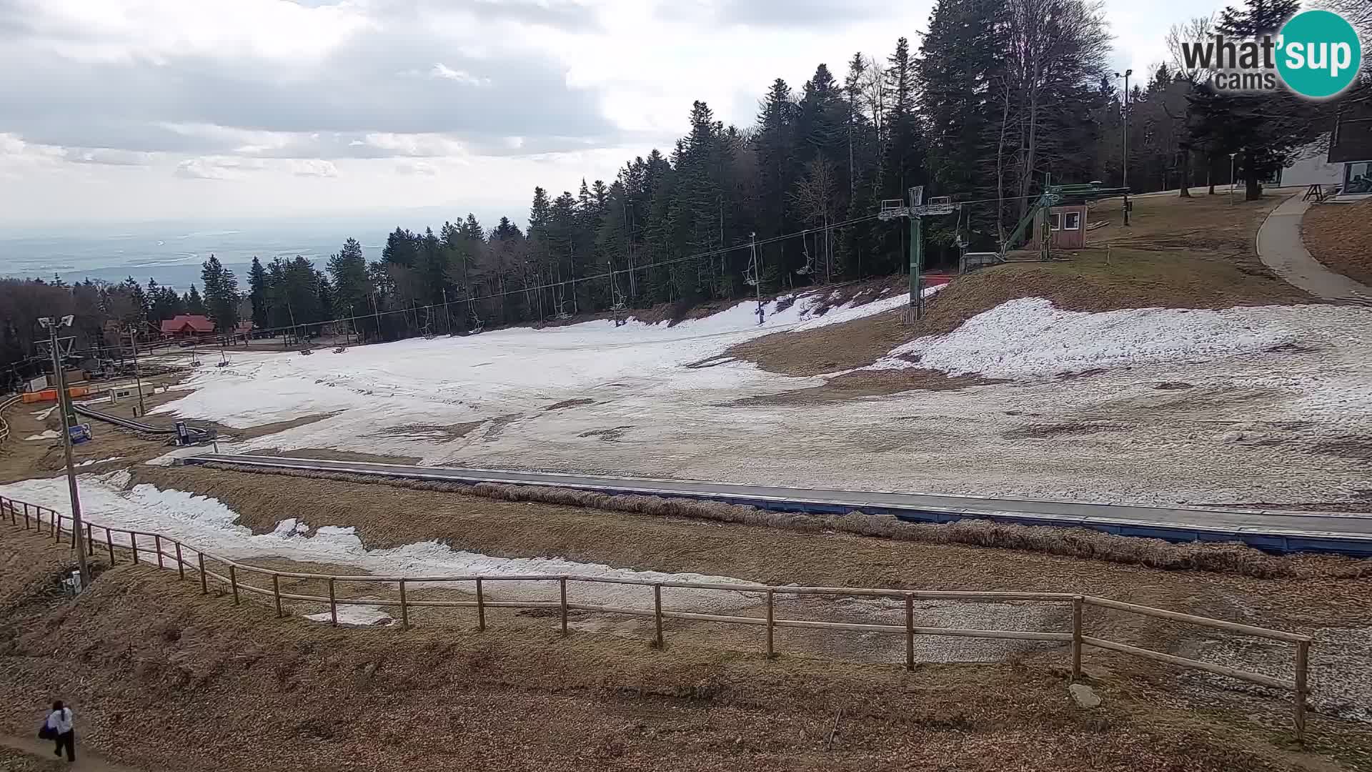 U živo Mariborsko Pohorje – Bellevue