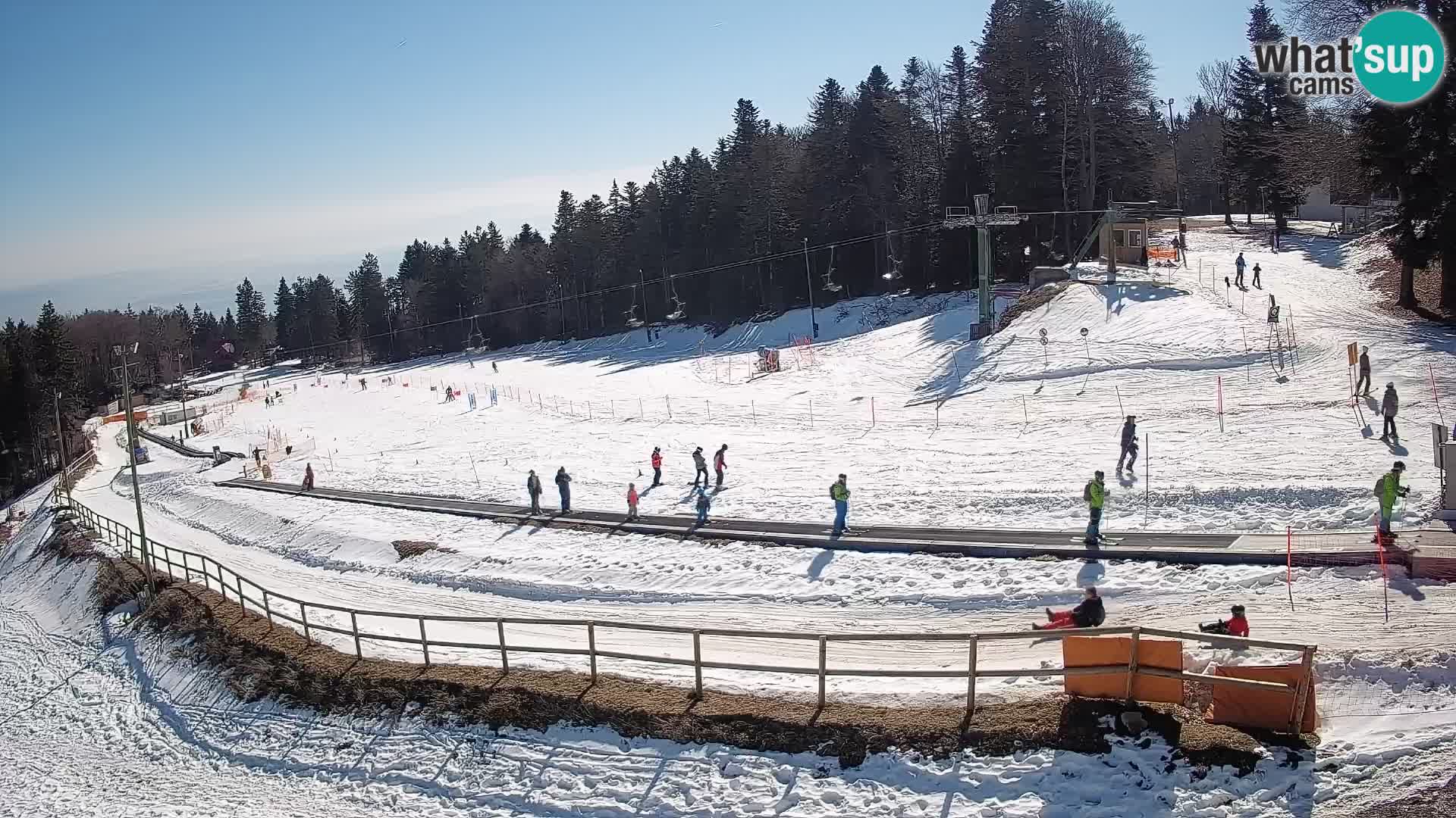 U živo Mariborsko Pohorje – Bellevue