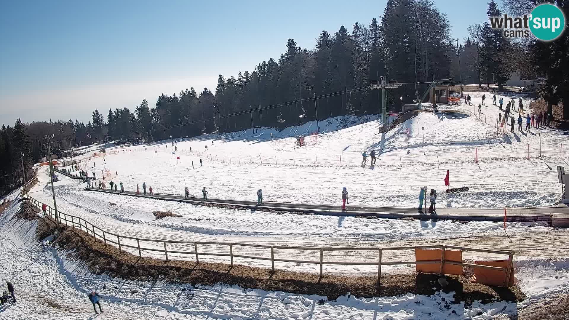 V živo Mariborsko Pohorje – Bellevue