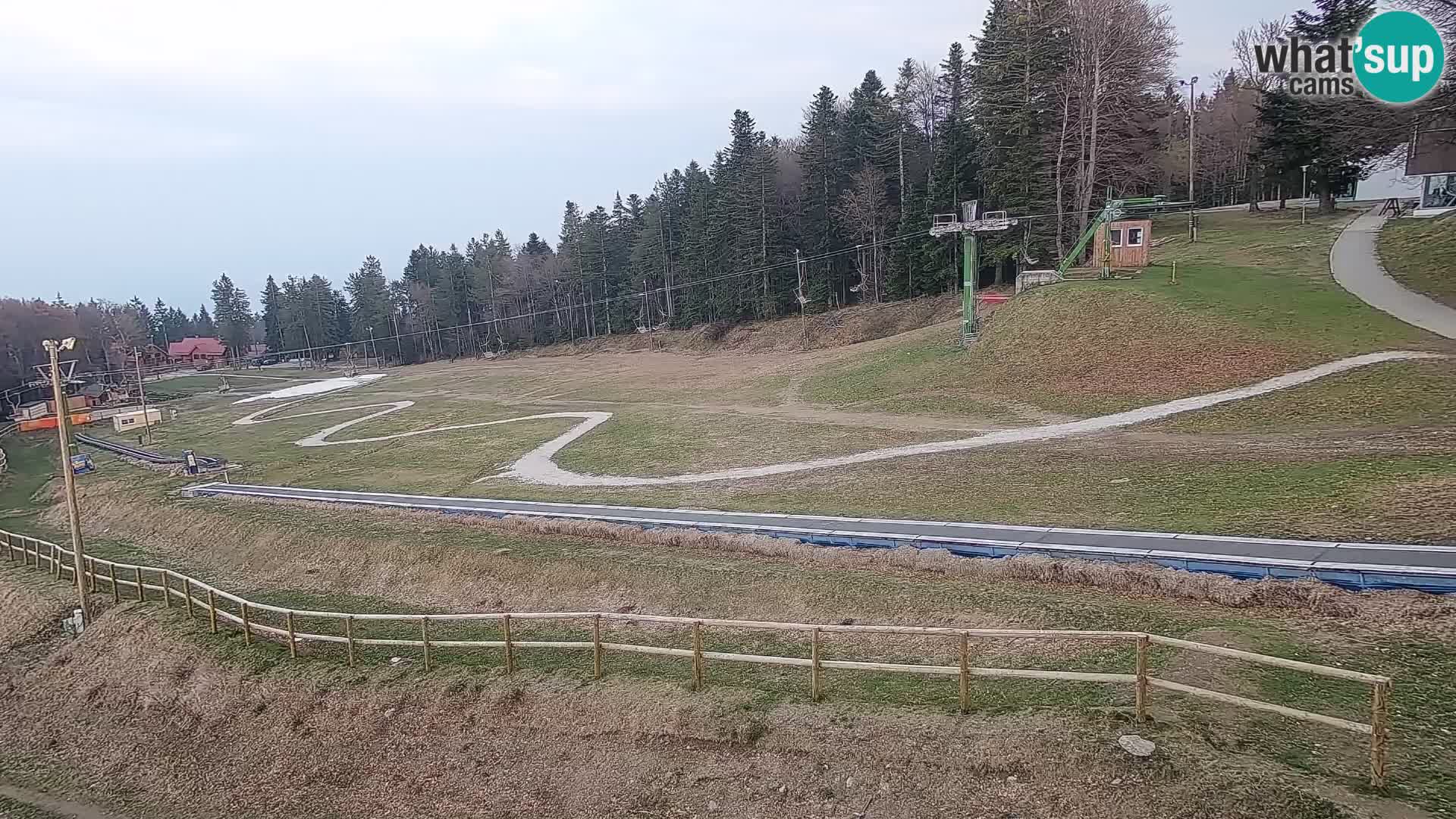 V živo Mariborsko Pohorje – Bellevue