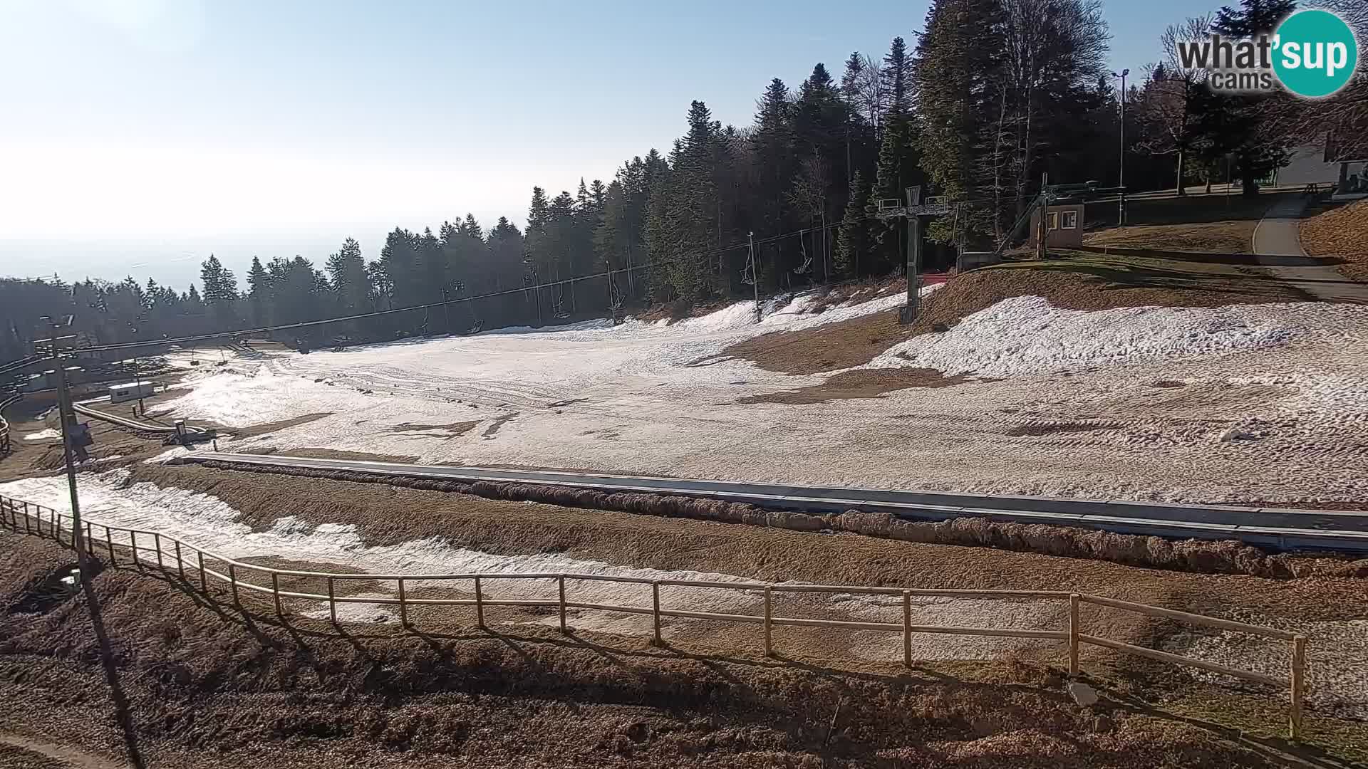 Station ski Livecam Maribor Pohorje – Bellevue