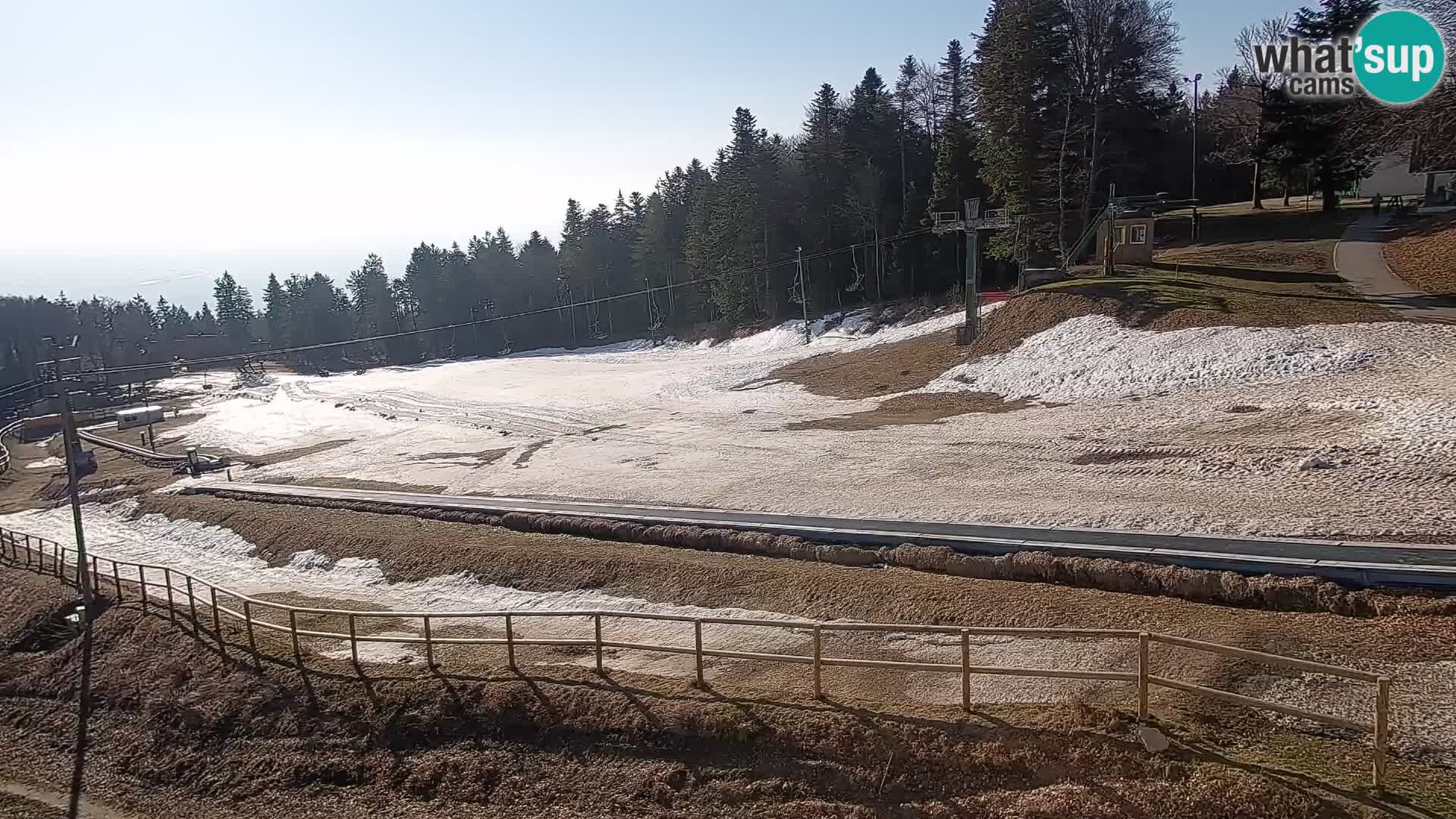 Webcam Maribor Pohorje – Bellevue