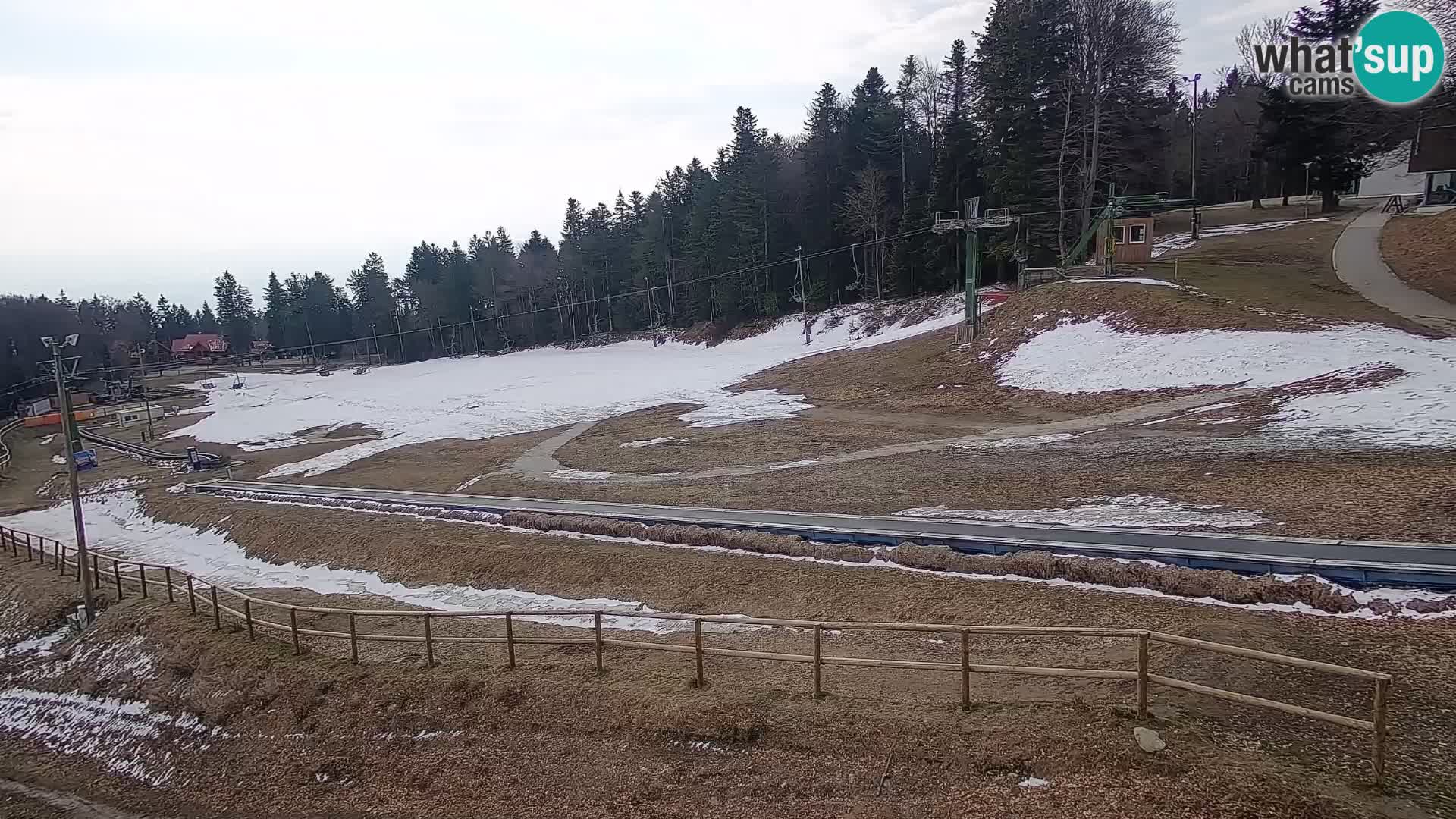 U živo Mariborsko Pohorje – Bellevue