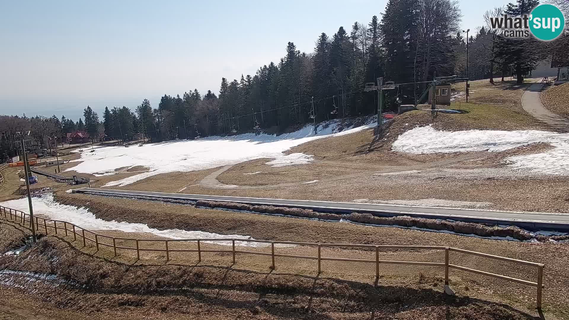 Station ski Livecam Maribor Pohorje – Bellevue