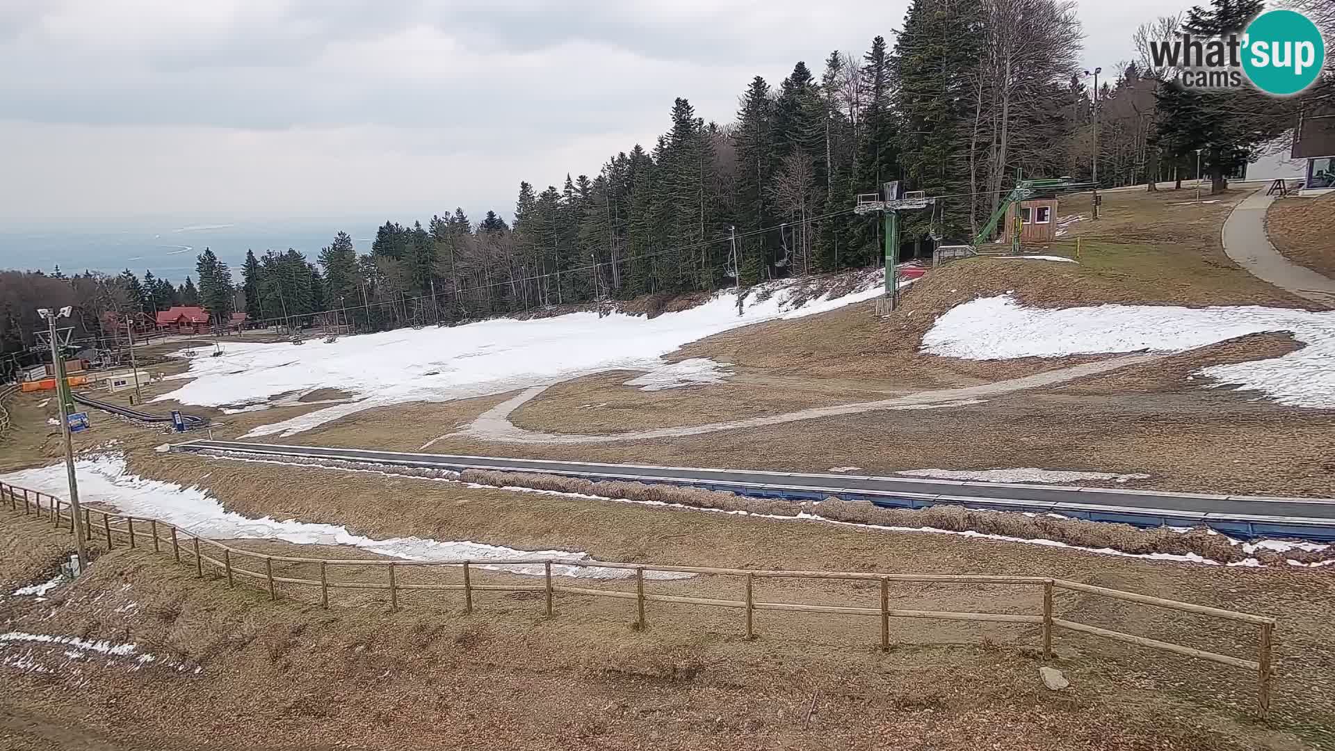 Livecam Skigebiet Maribor Pohorje – Bellevue