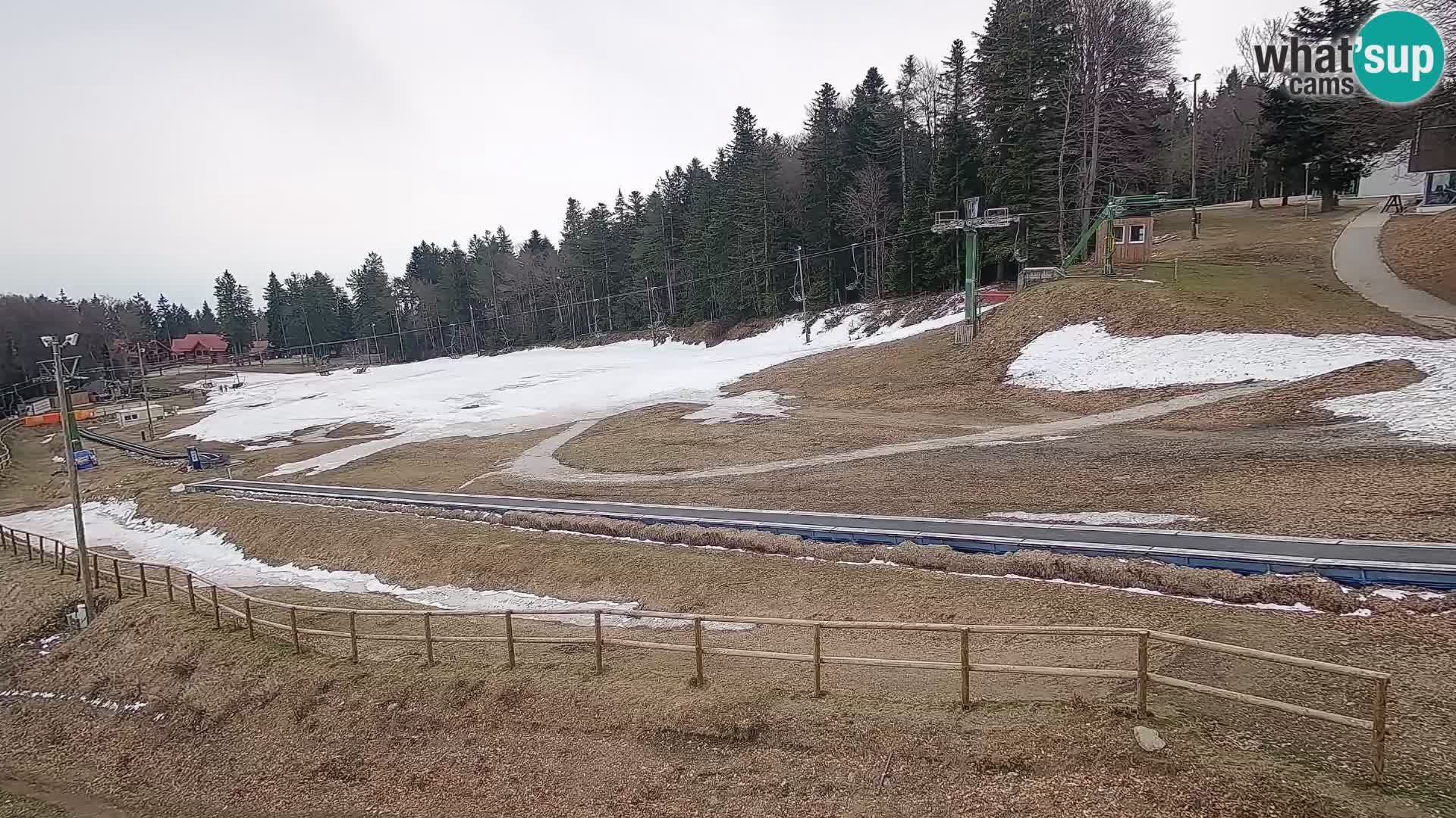 Livecam Maribor Pohorje – Bellevue