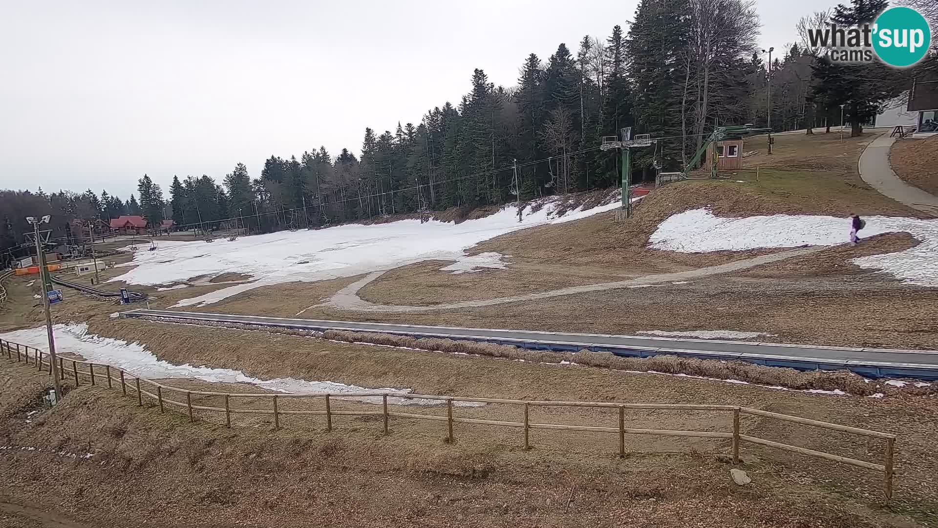 Station ski Livecam Maribor Pohorje – Bellevue