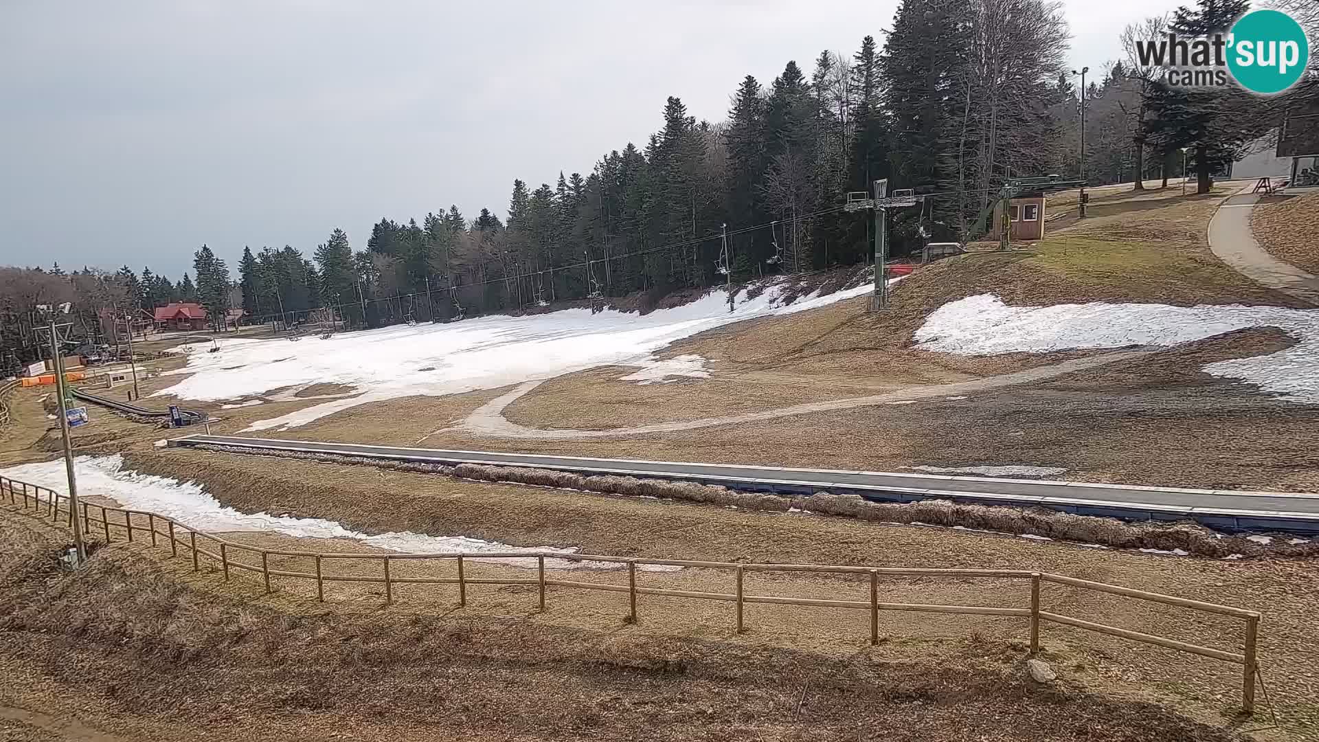 Station ski Livecam Maribor Pohorje – Bellevue