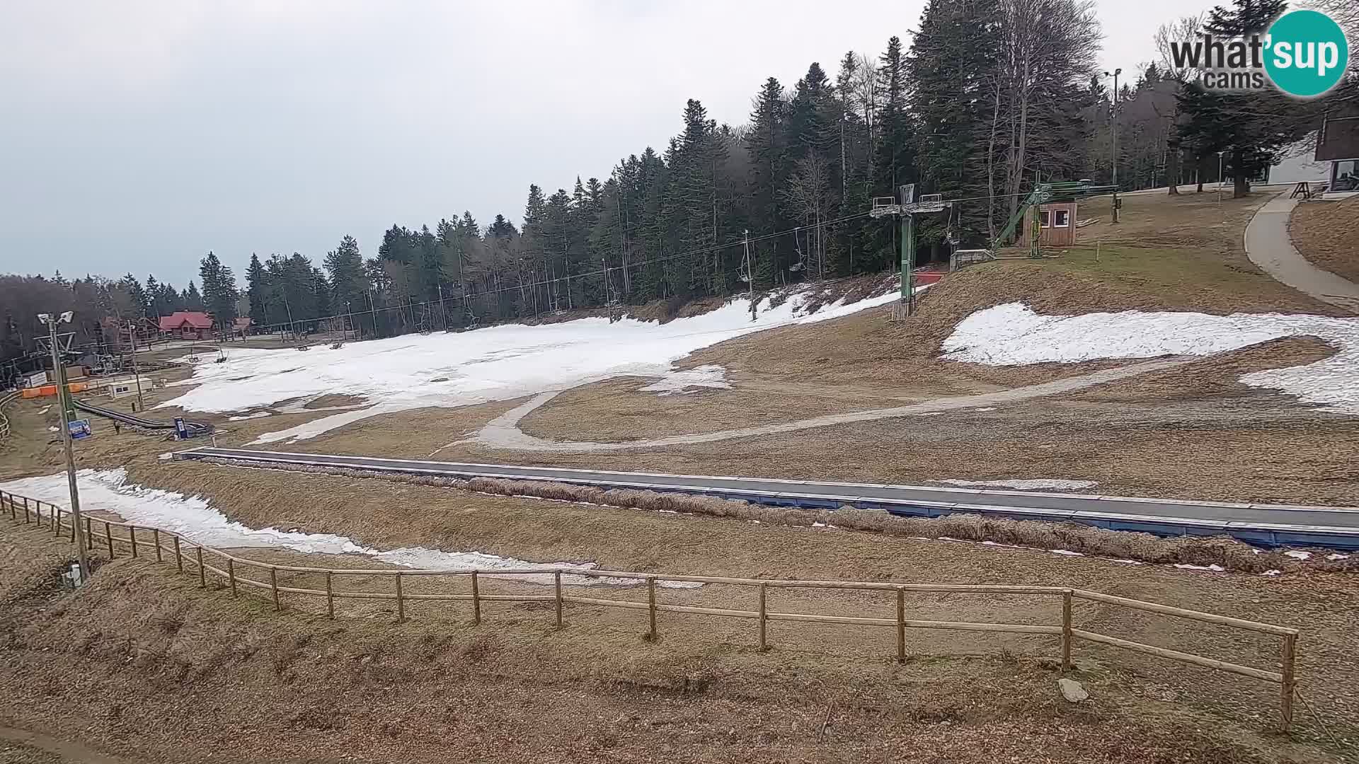 U živo Mariborsko Pohorje – Bellevue