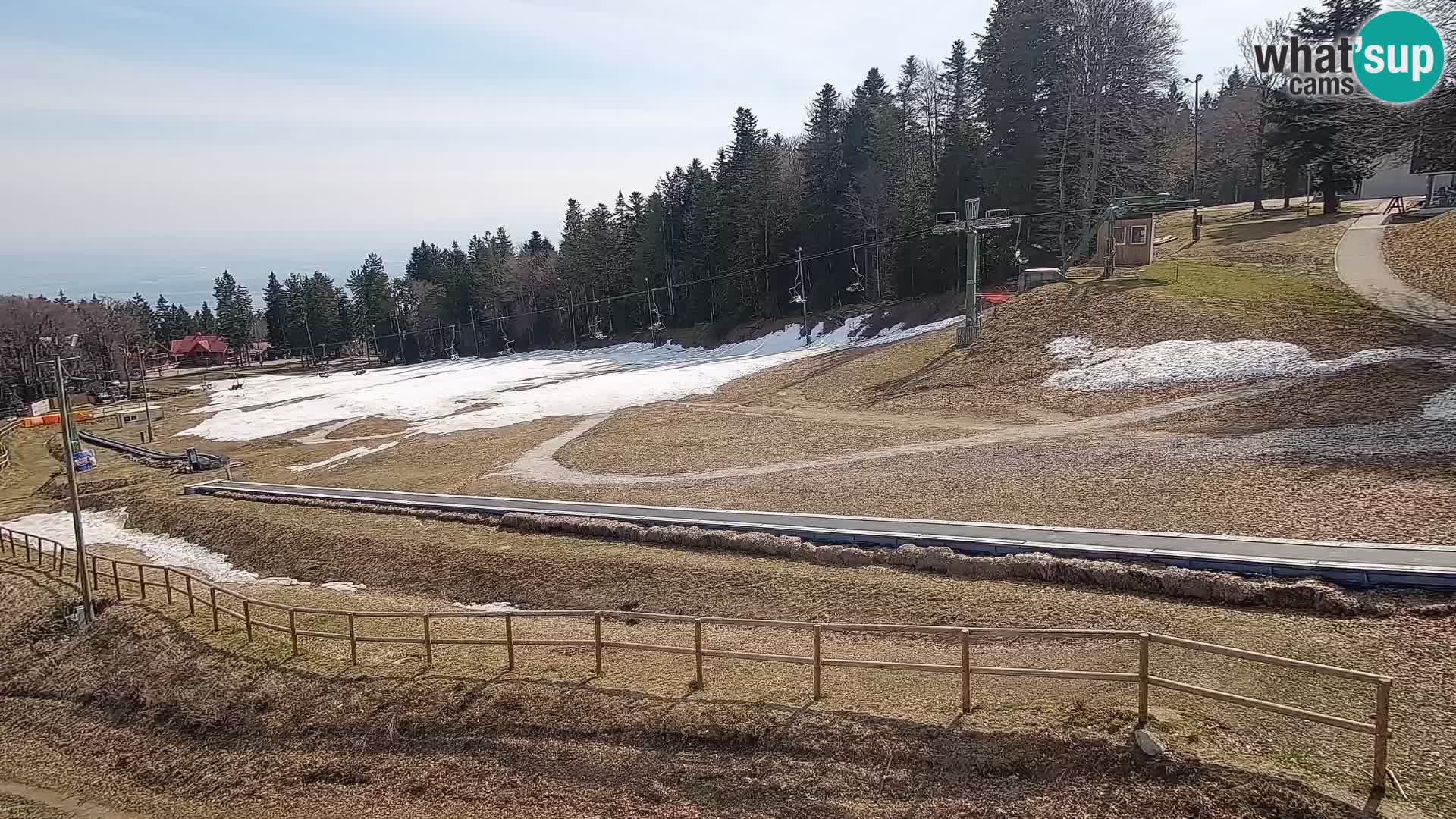 V živo Mariborsko Pohorje – Bellevue