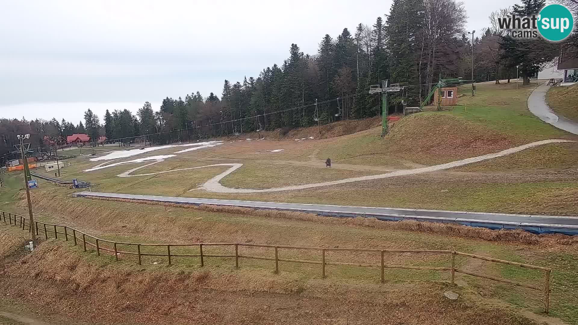 Estacion esqui  en vivo Maribor Pohorje – Bellevue