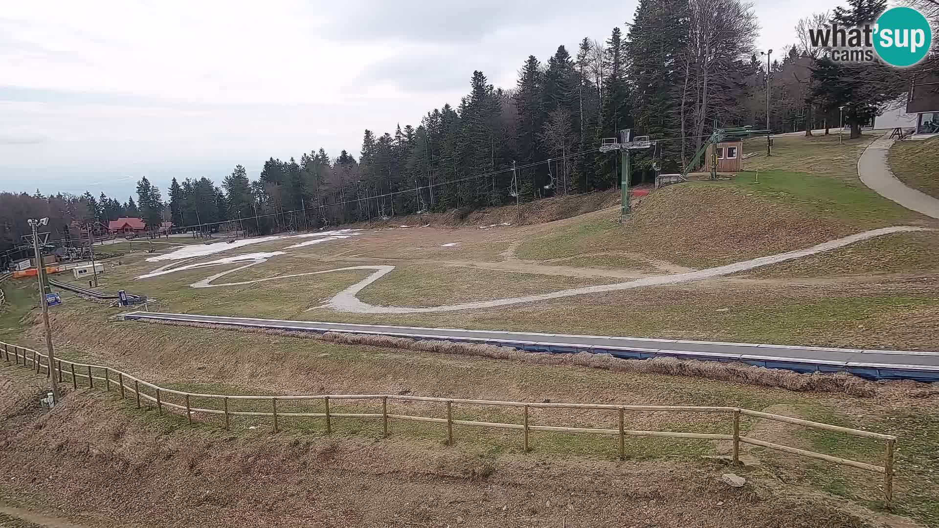 Estacion esqui  en vivo Maribor Pohorje – Bellevue