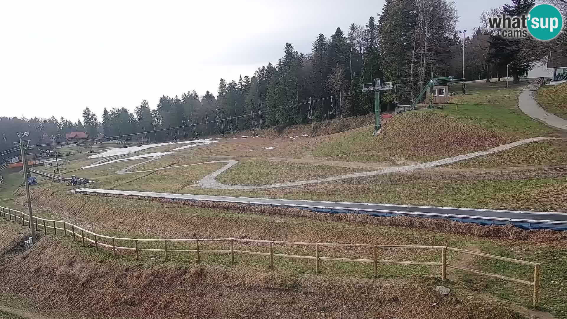 U živo Mariborsko Pohorje – Bellevue