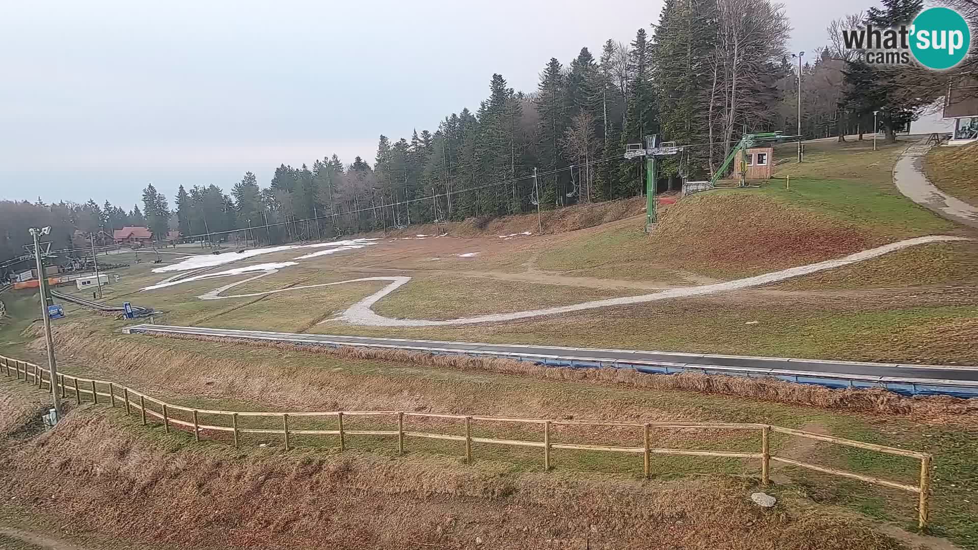 Estacion esqui  en vivo Maribor Pohorje – Bellevue