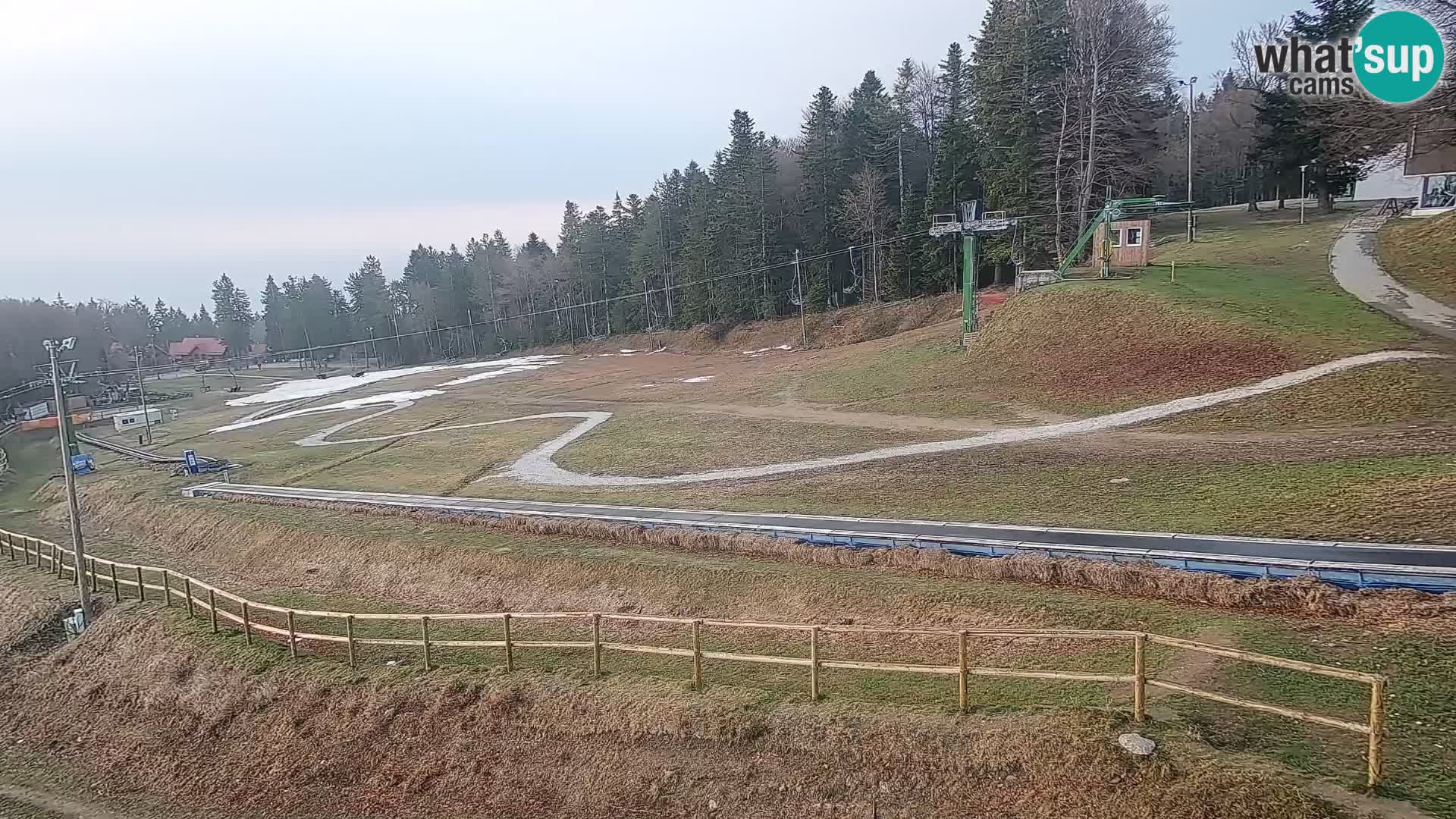 Station ski Livecam Maribor Pohorje – Bellevue