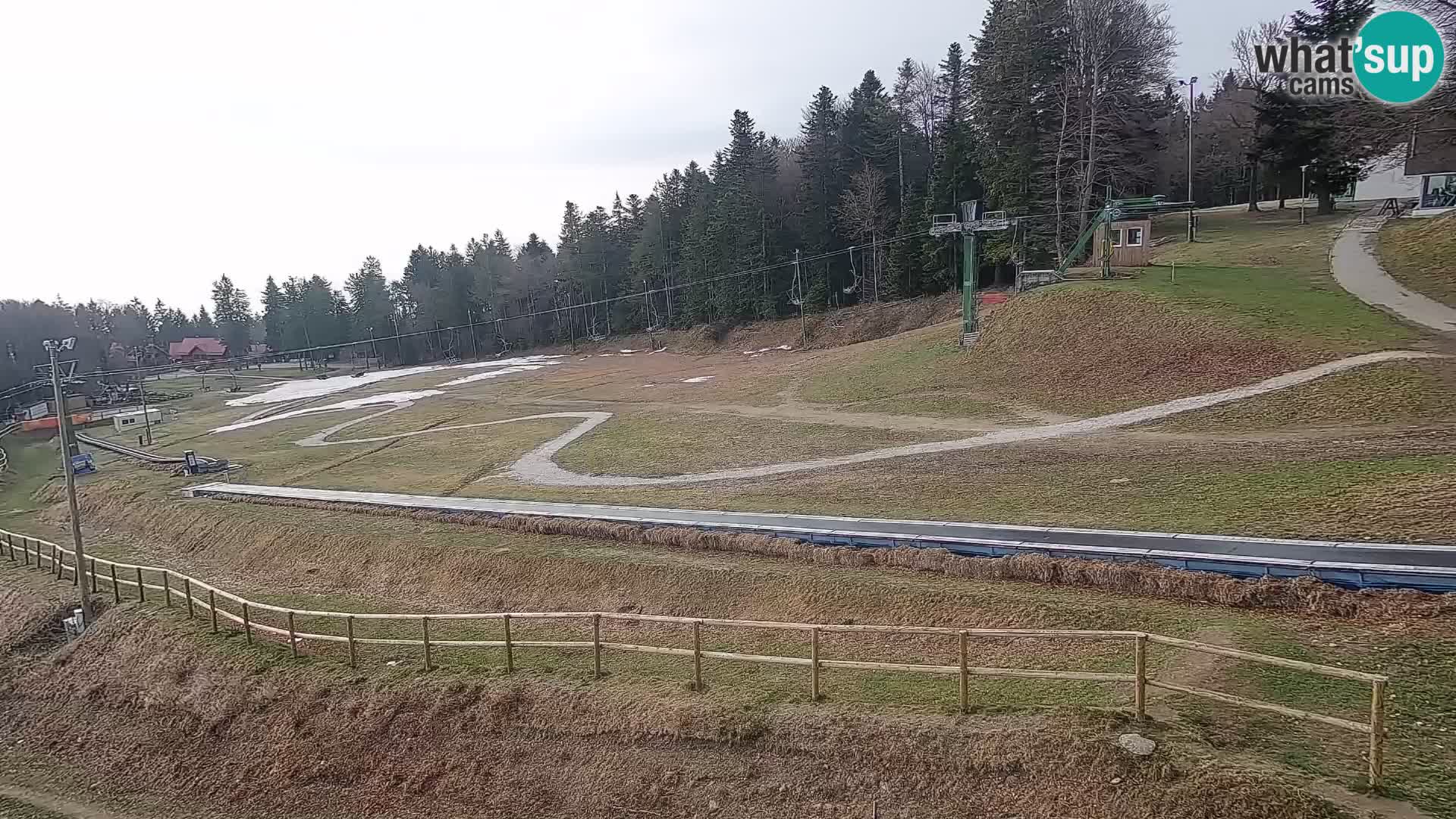 U živo Mariborsko Pohorje – Bellevue