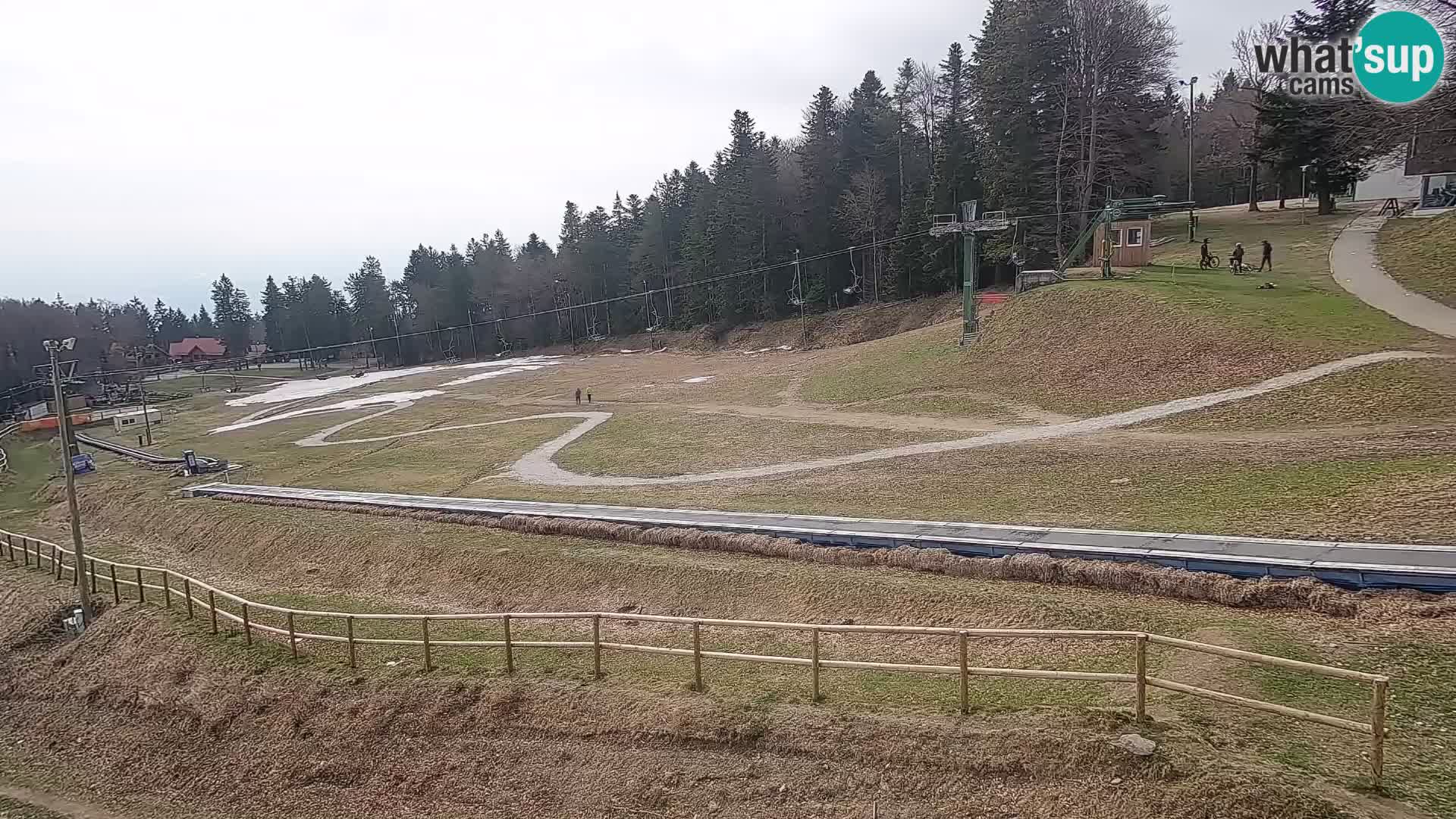 V živo Mariborsko Pohorje – Bellevue