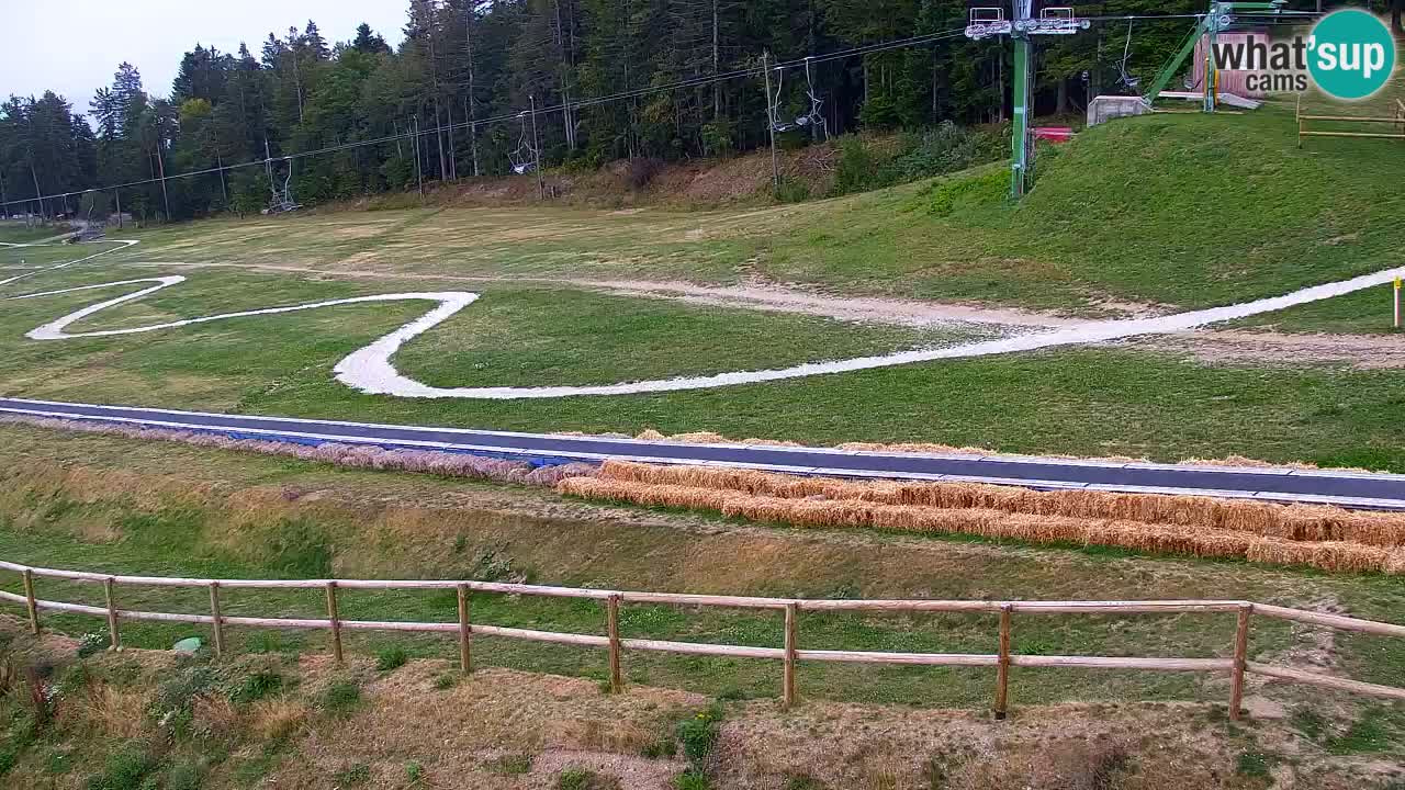 Estacion esqui  en vivo Maribor Pohorje – Bellevue