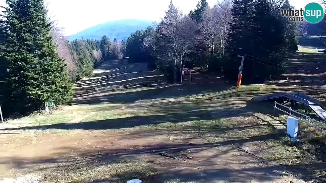 SKI Maribor Pohorje webcam Ruška