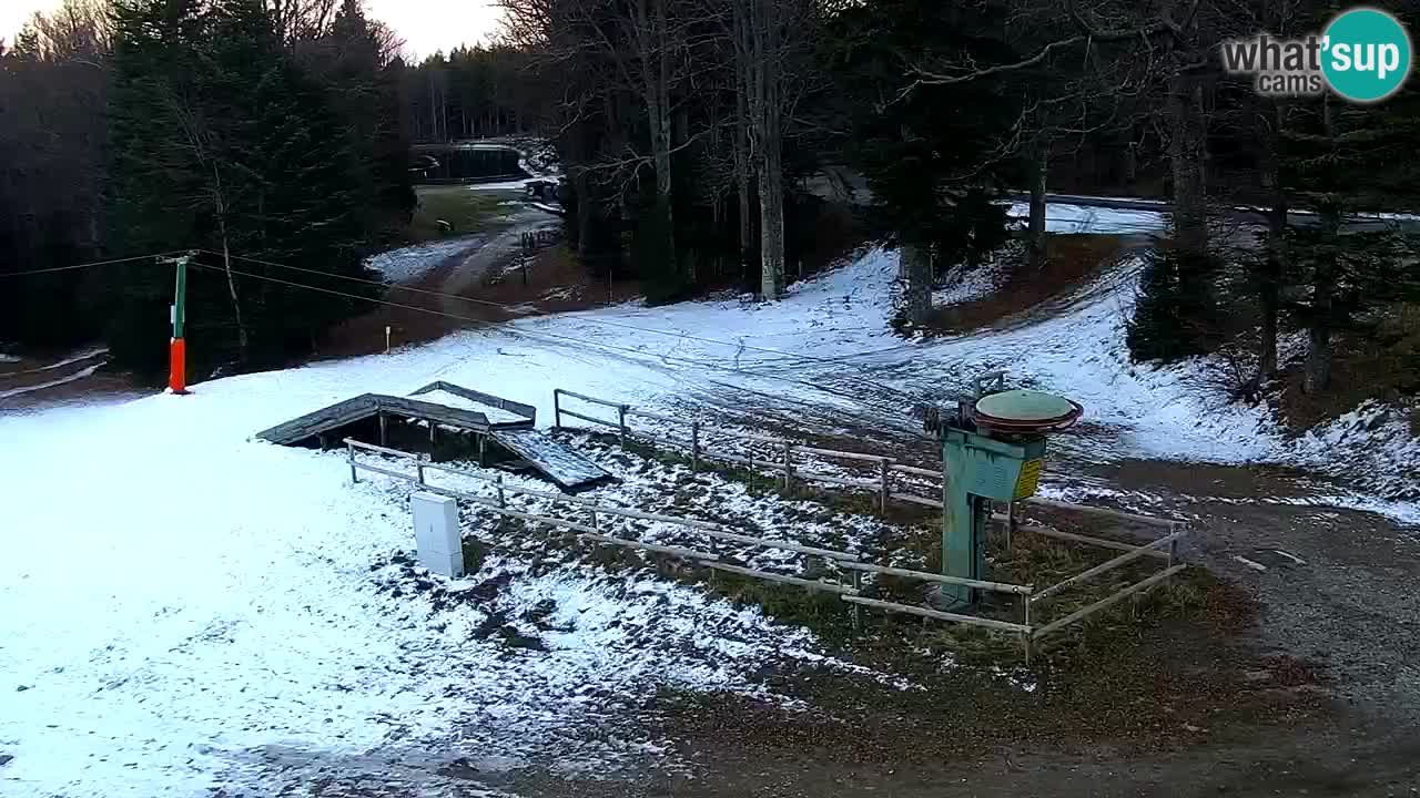 Mariborsko Pohorje – Areh Ruška proga 654