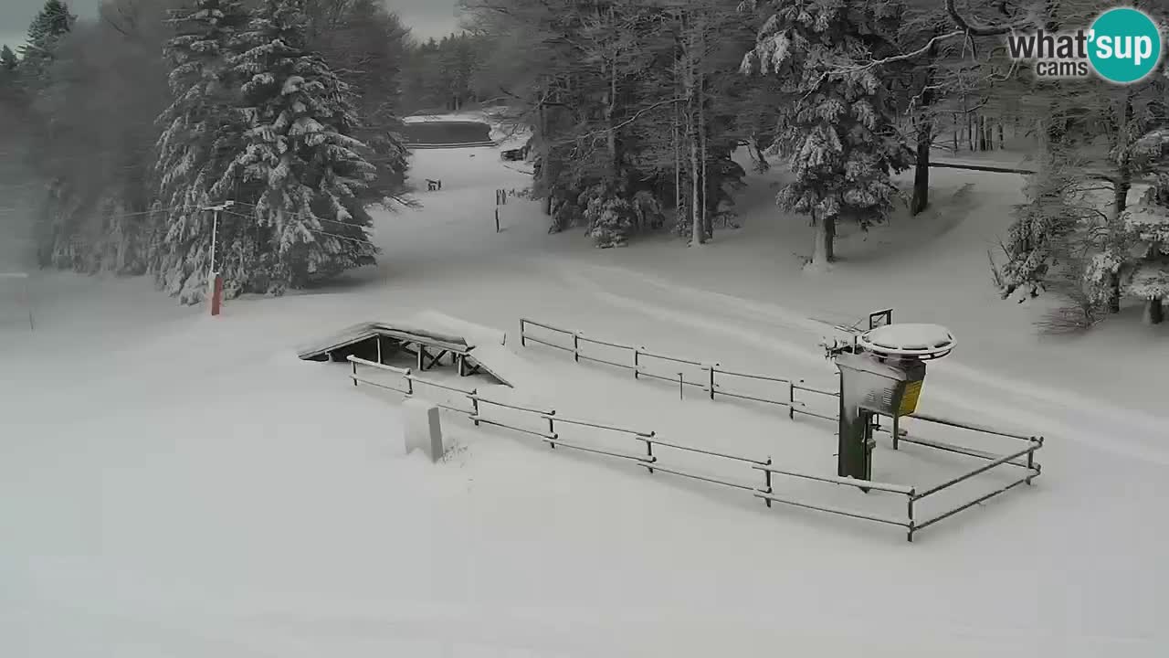 SKI Maribor Pohorje – Ruška webcam