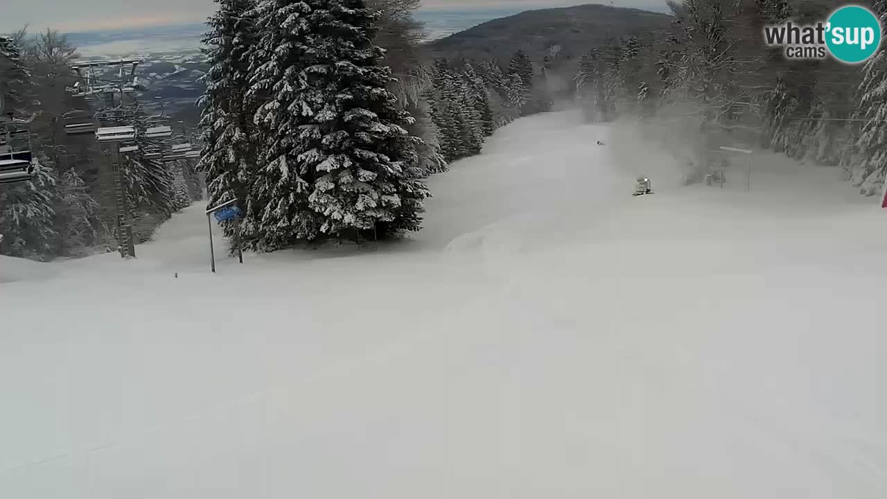 Mariborsko Pohorje – Areh Ruška proga 654