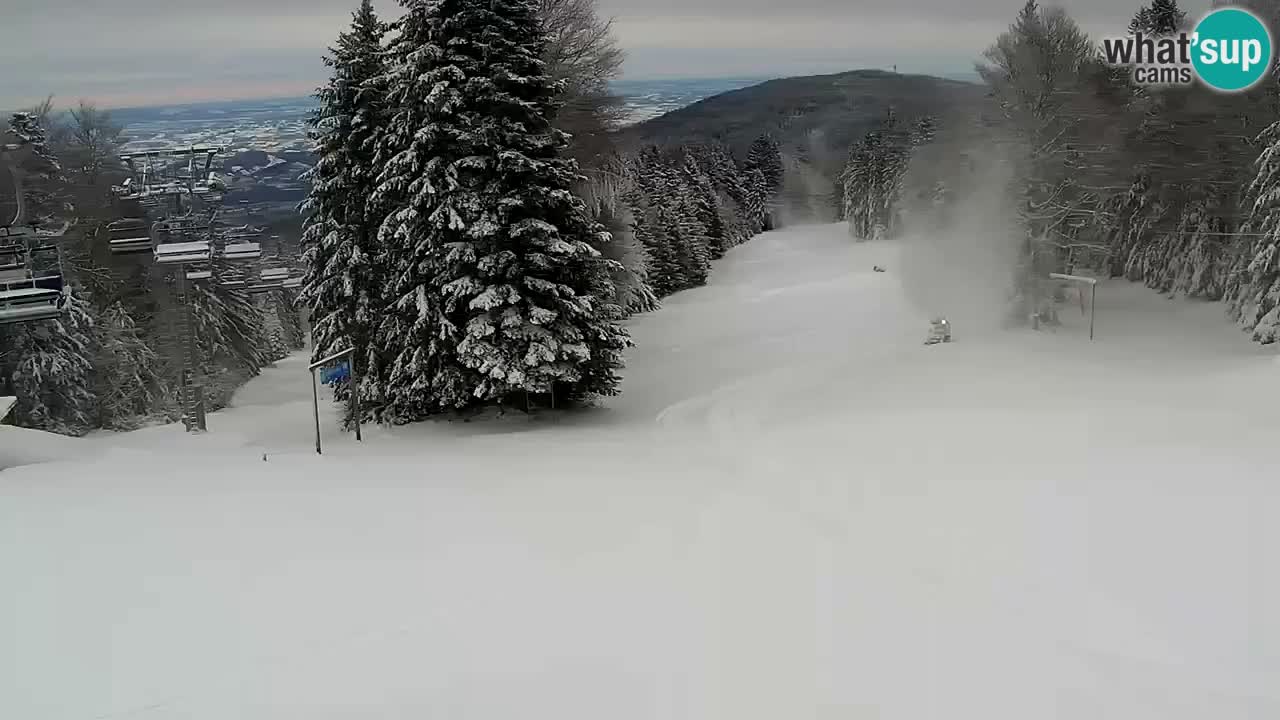 Smučišče Mariborsko Pohorje – spletna kamera Ruška zgoraj