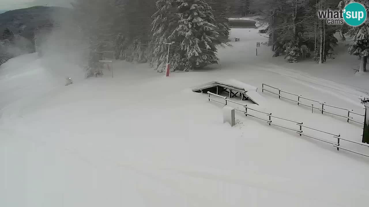 Estaciones de esquí Maribor Pohorje en vivo Ruška