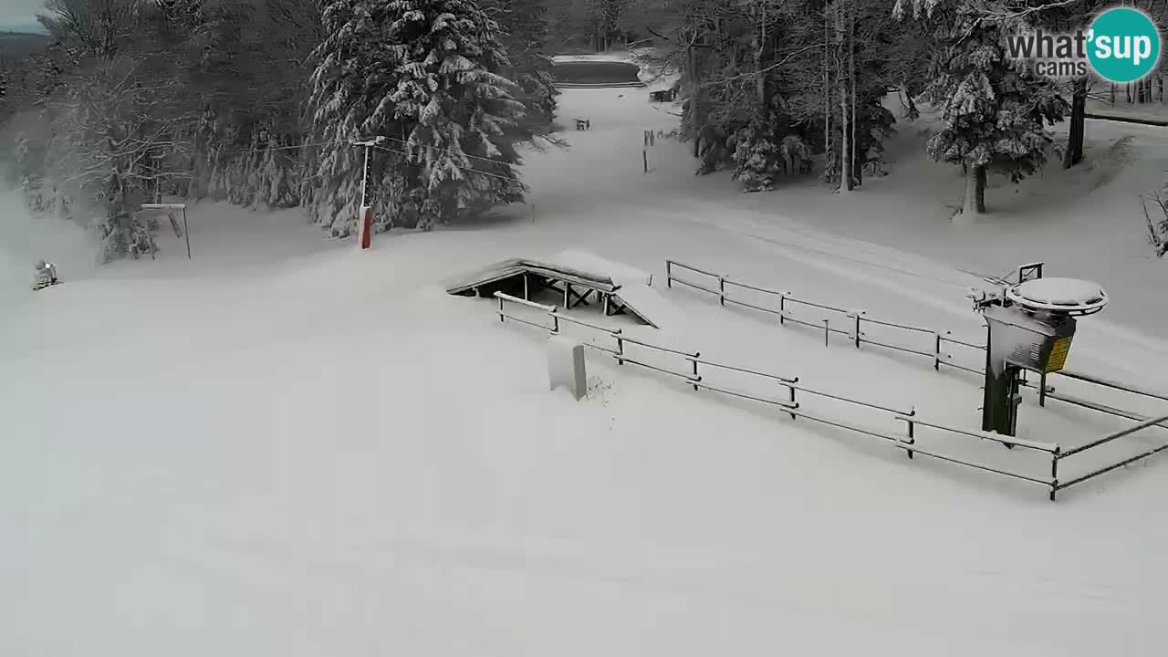 Smučišče Mariborsko Pohorje – spletna kamera Ruška zgoraj