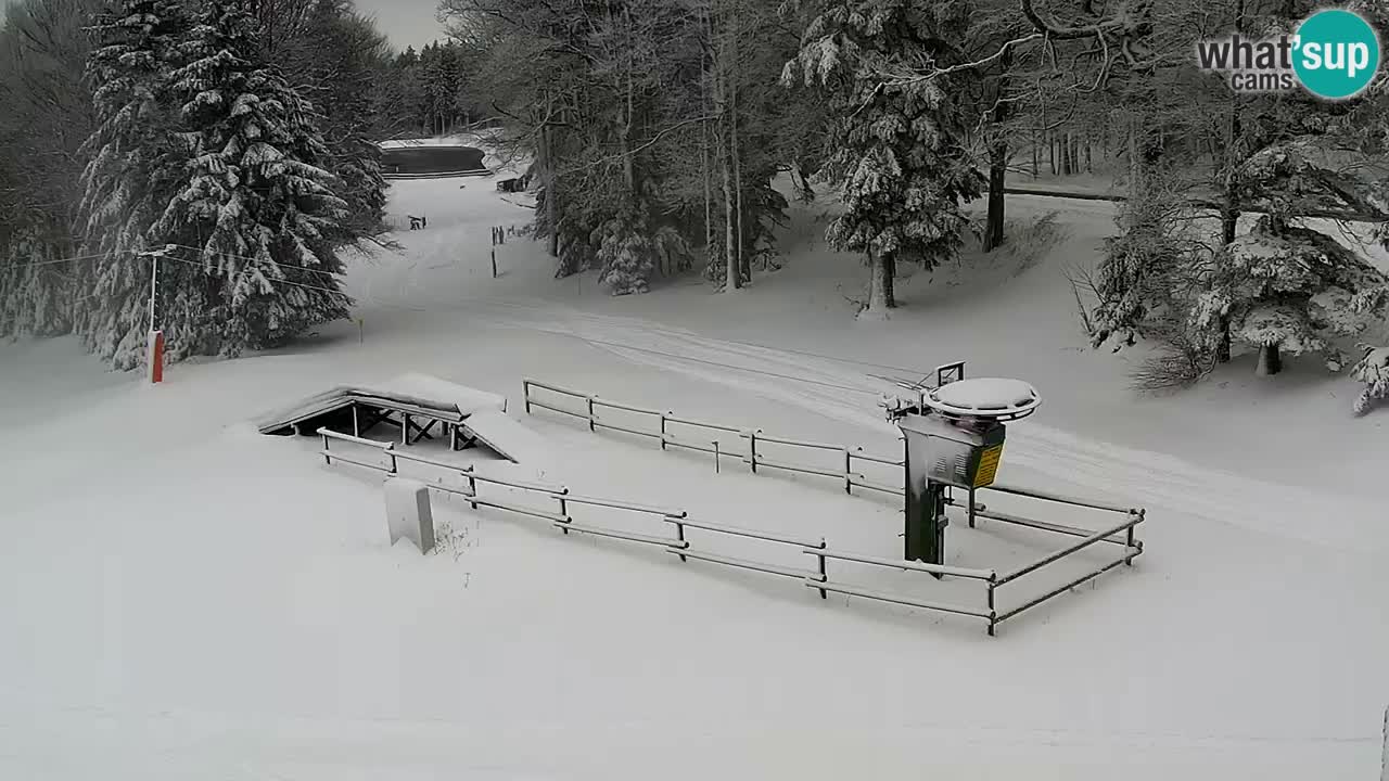 Maribor Pohorje – Areh Ruska