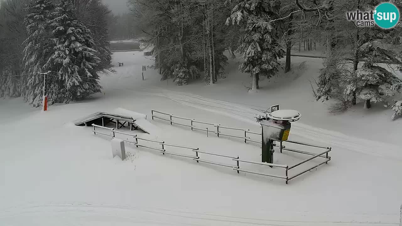 Estaciones de esquí Maribor Pohorje en vivo Ruška