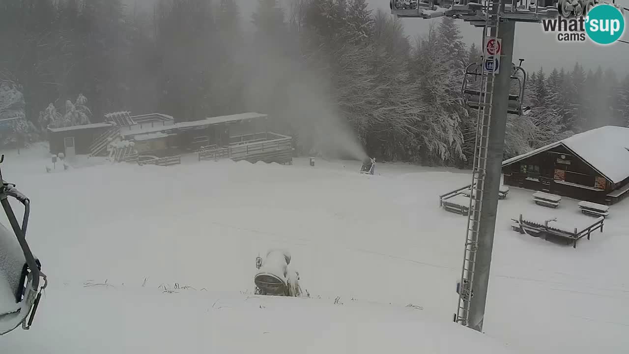 Stazione sciistica Pohorje – Arerh – pista Ruška