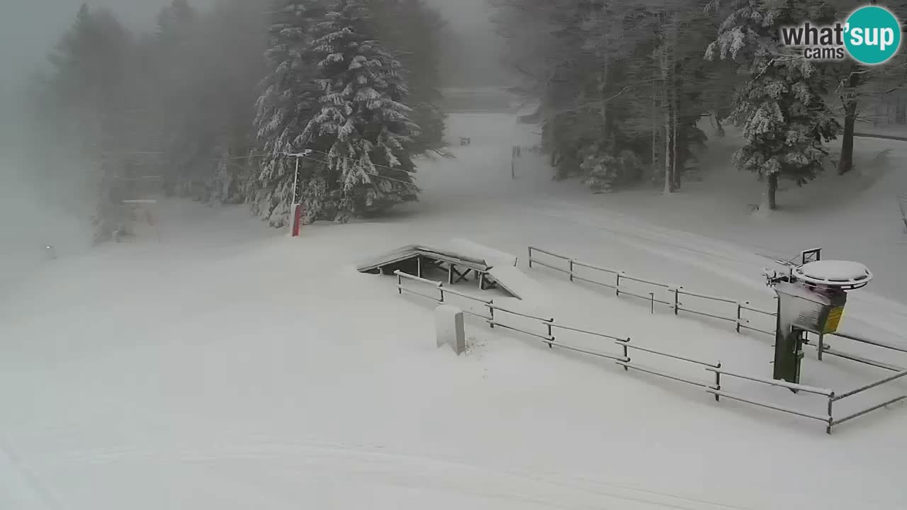 Stazione sciistica Maribor Pohorje – Ruška livecam