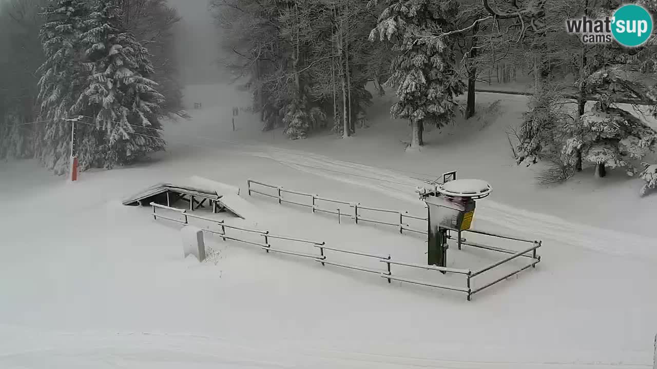 Stazione sciistica Pohorje – Arerh – pista Ruška