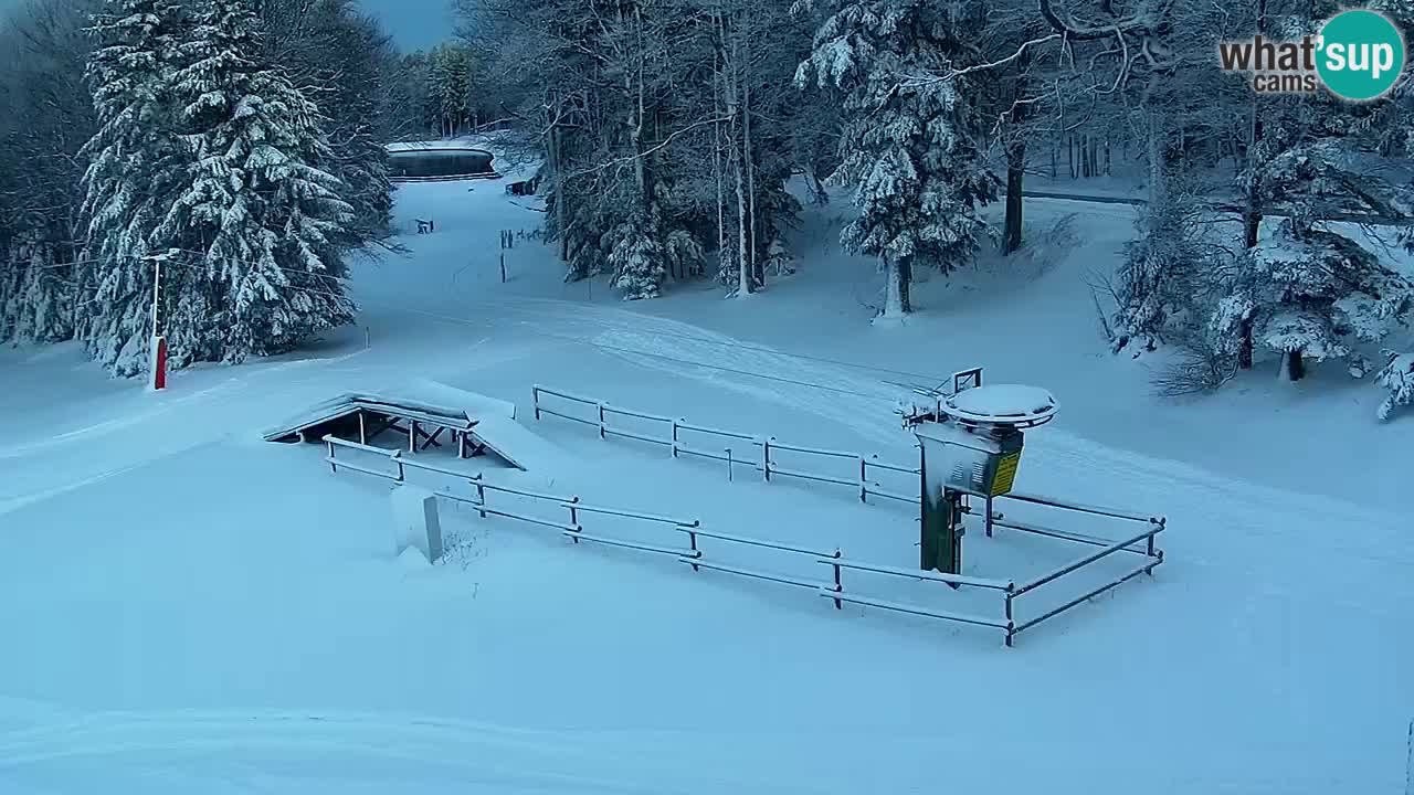 Mariborsko Pohorje – Areh Ruška proga 654