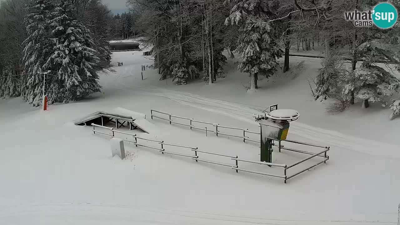 Stazione sciistica Maribor Pohorje – Ruška livecam